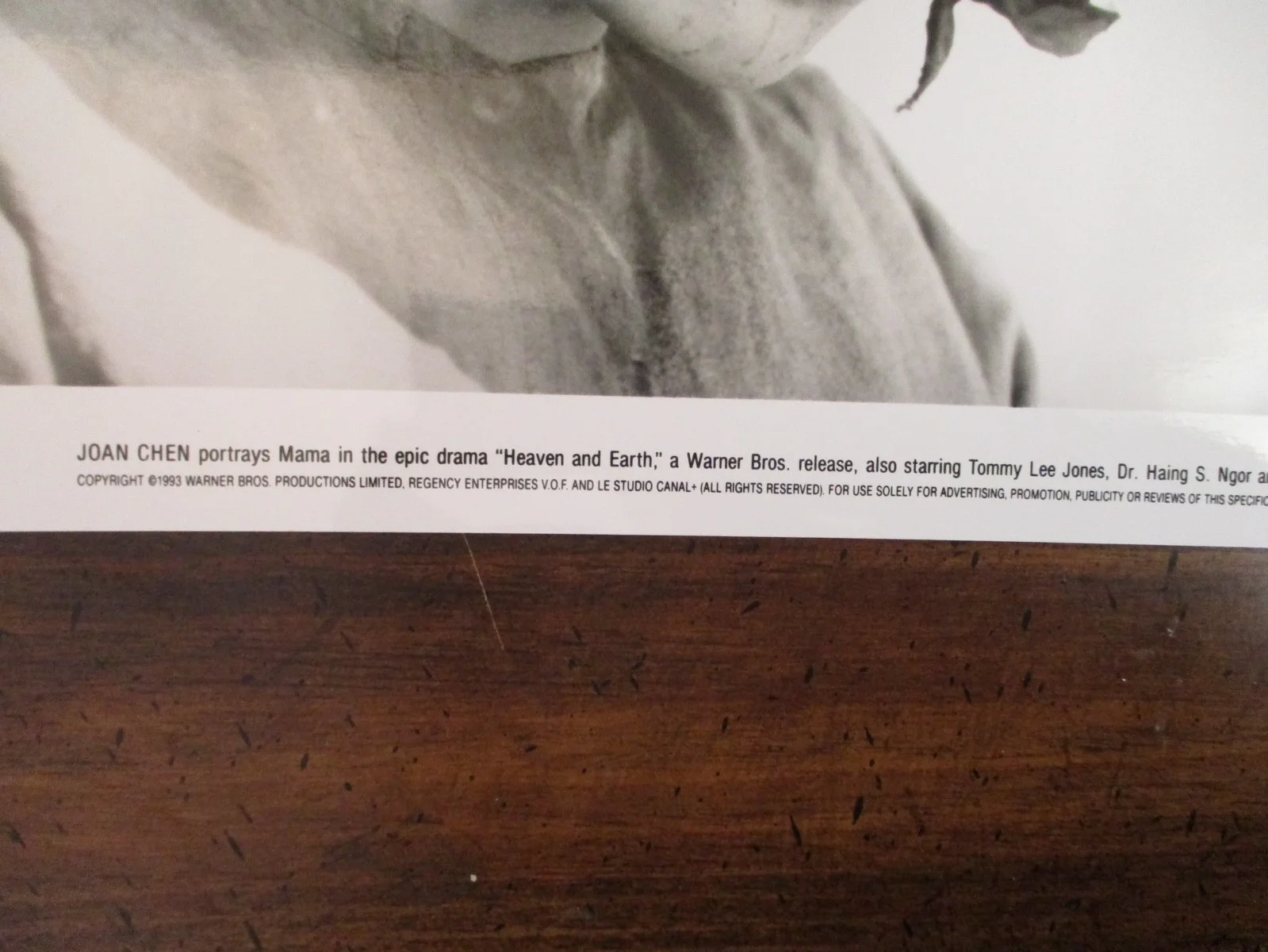 Joan Chen("HEAVEN AND EARTH") 1993 10 x 8 Glossy Black and White Press Photo, image 2