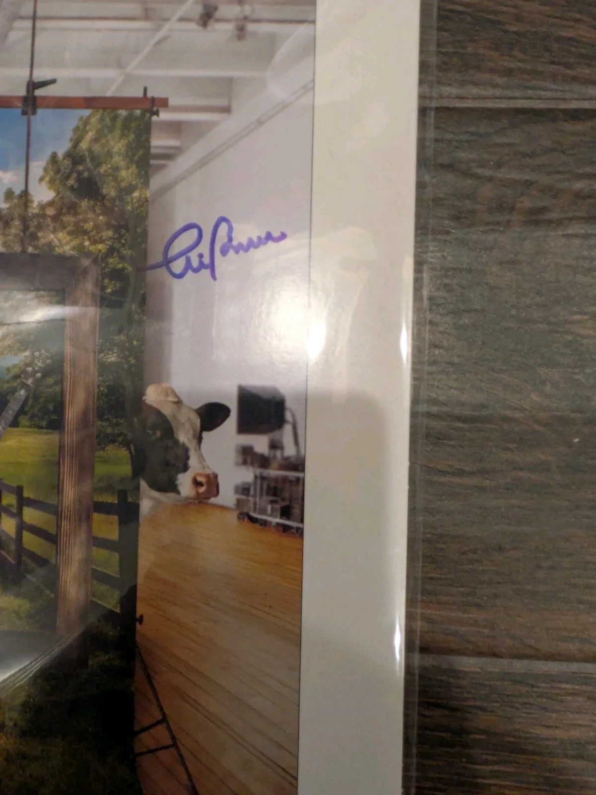 Steve Martin & Alison Brown Safe Sensible Sane RED Vinyl Signed Autograph Sealed, изображение 2