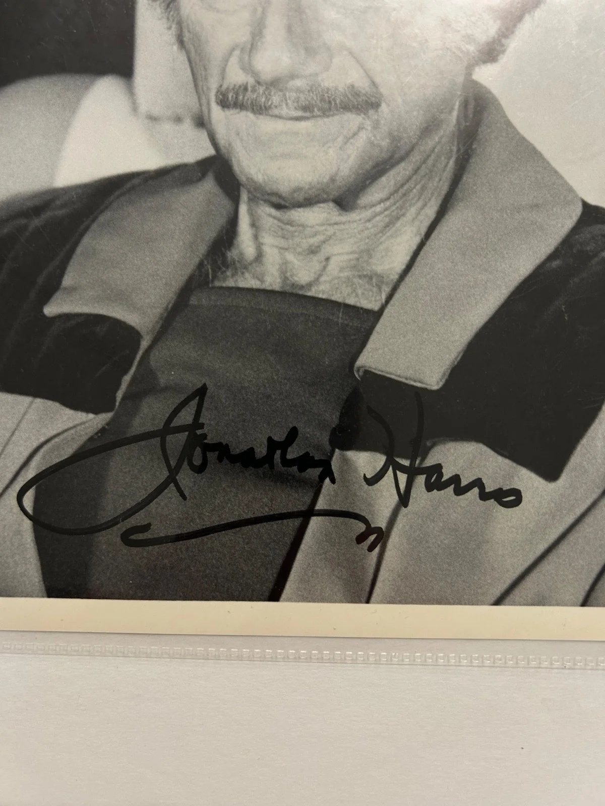 Jonathan Harris lost in space autograph photo, image 2