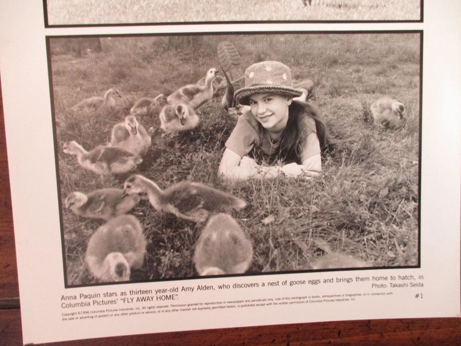 Anna Paquin ("FLY AWAY HOME") 1996 8" x 10" Black and White Press Photo, изображение 2