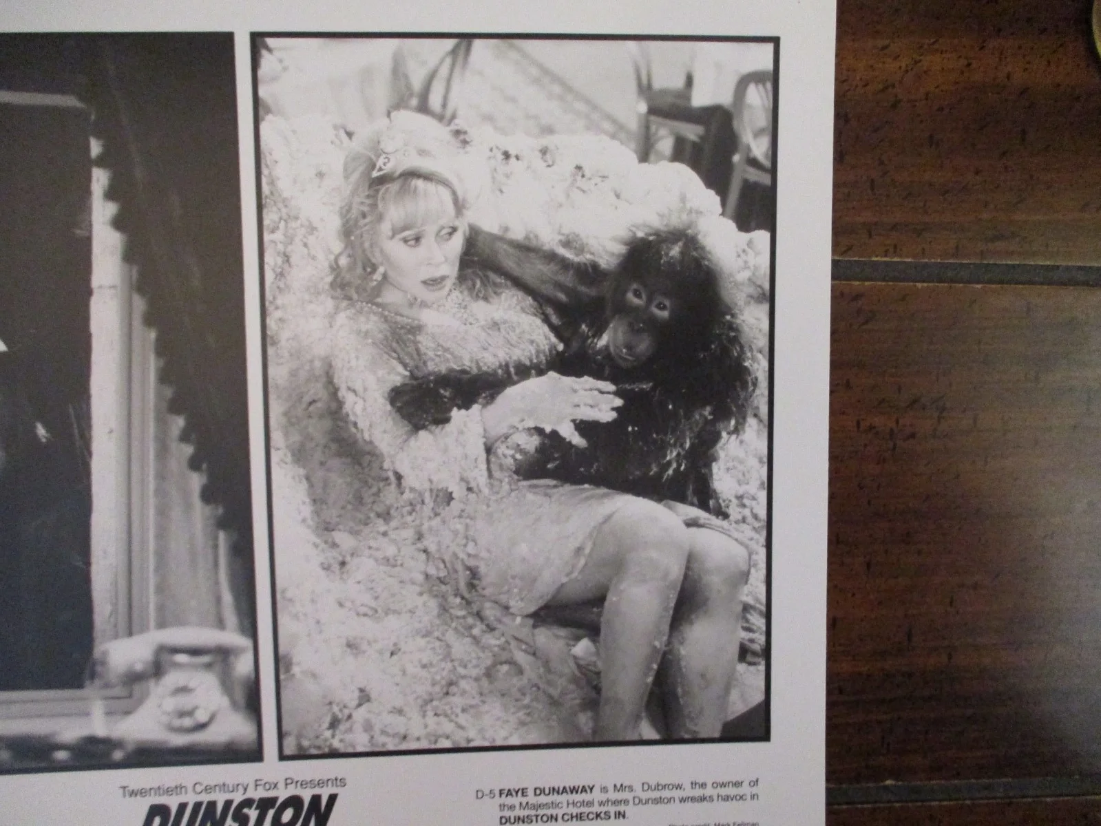 Kaye Dunaway ("DUNSTON CHECKS IN") 1996 10 x 8 Black and White Press Photo, изображение 2