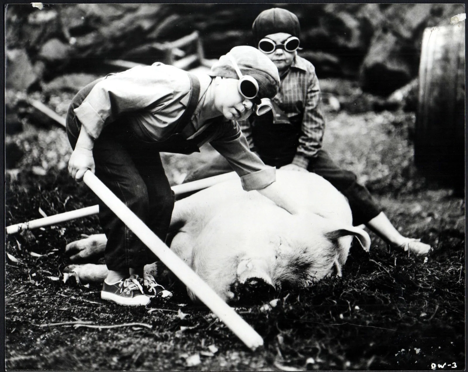 EVEN DWARFS STARTED SMALL 1970 Werner Herzog, Helmut Döring 2 10x8 STILLS, image 2