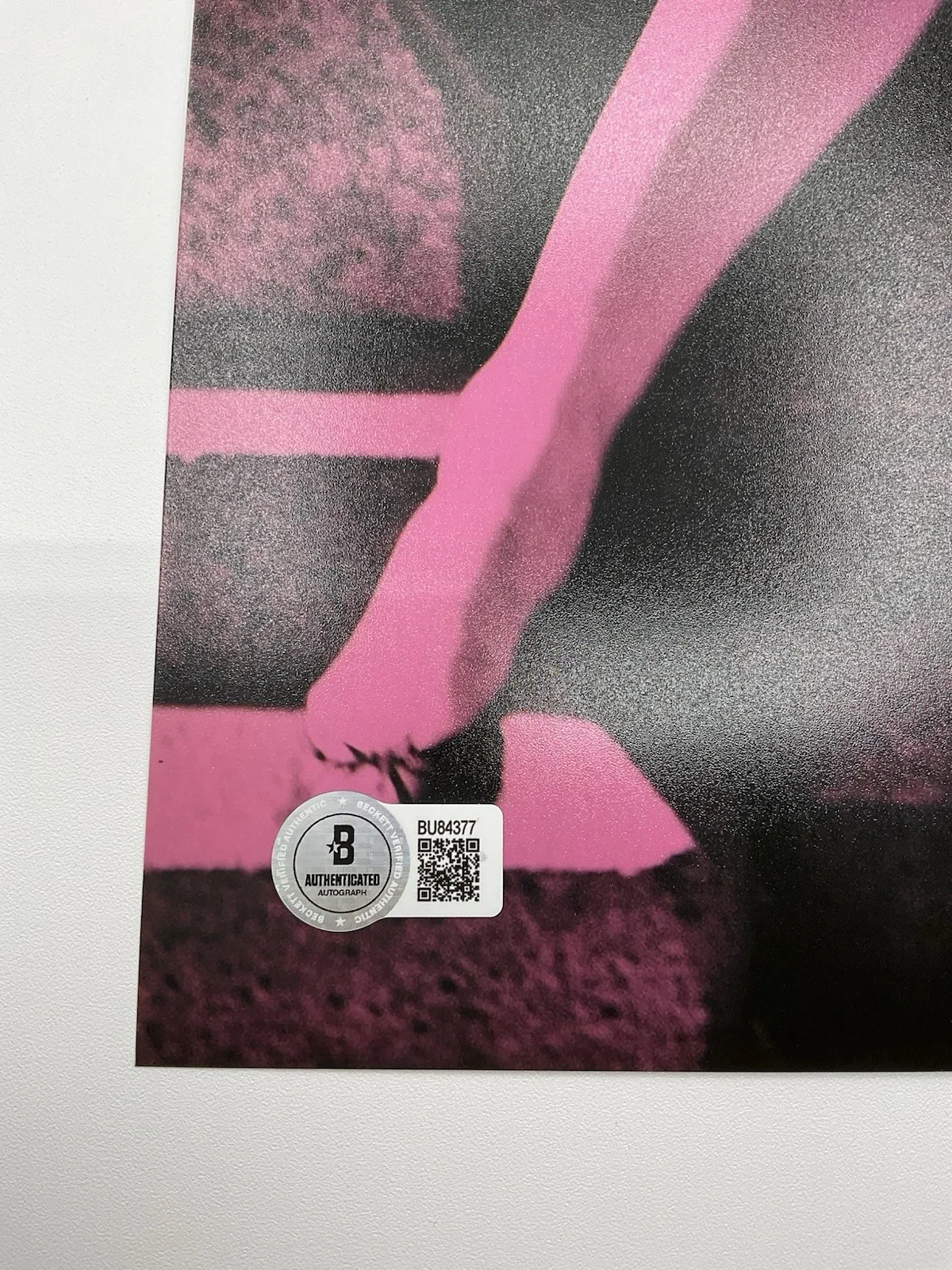Noah Baumbach — Noah Baumbach signed photo Frances Ha signed 12x18 BAS Director autographed pic, image 3