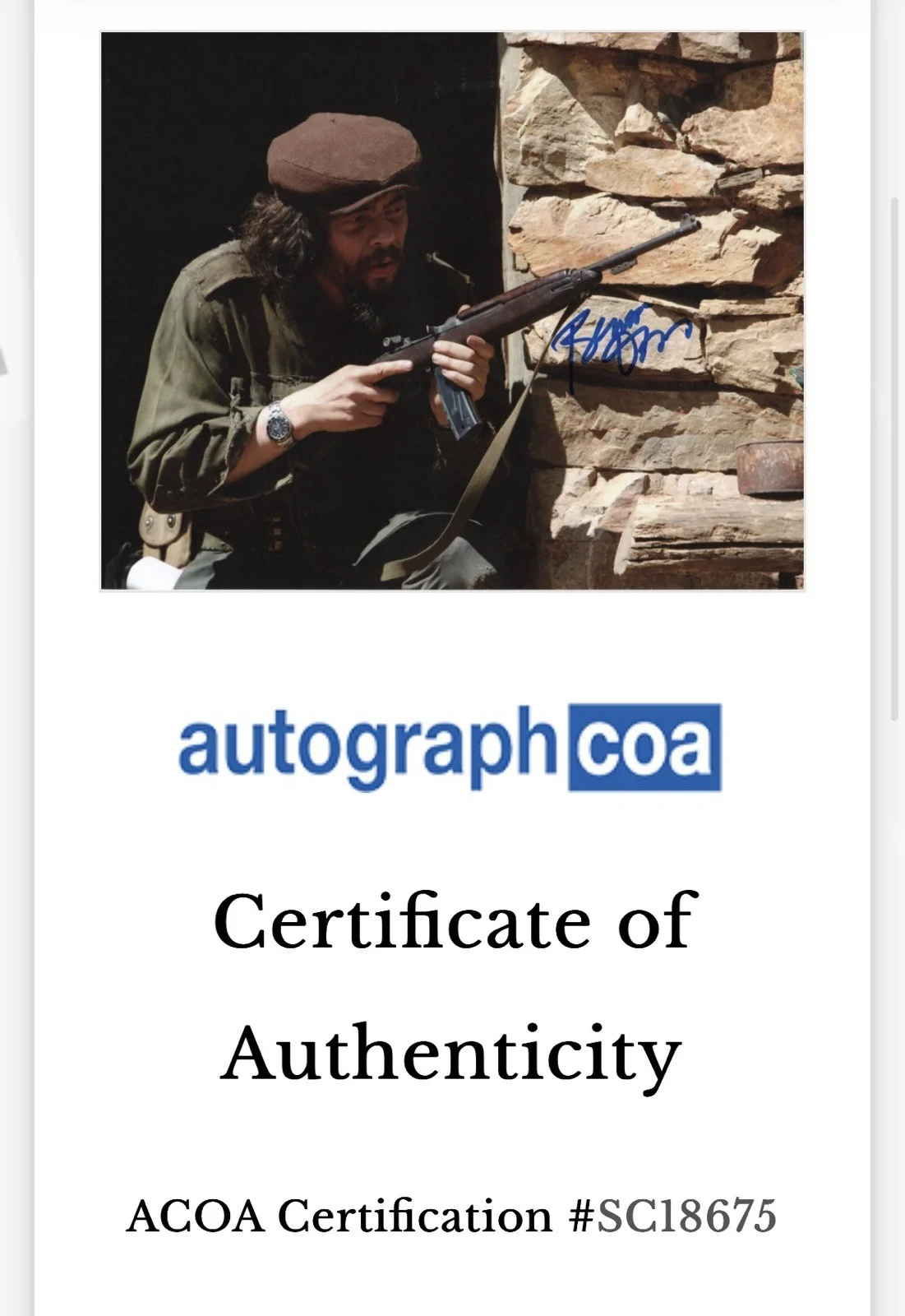 Benicio Del Toro Signed Photo 8x10 ACOA Autographed Che, изображение 2