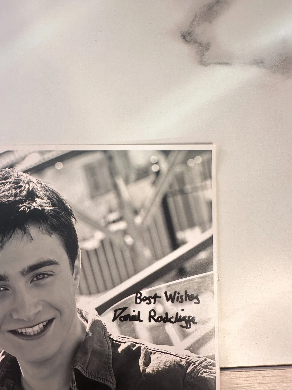 Daniel Radcliffe Signed 8x10 B&W Photo Harry Potter Goblet Fire 2005 Autograph, изображение 4