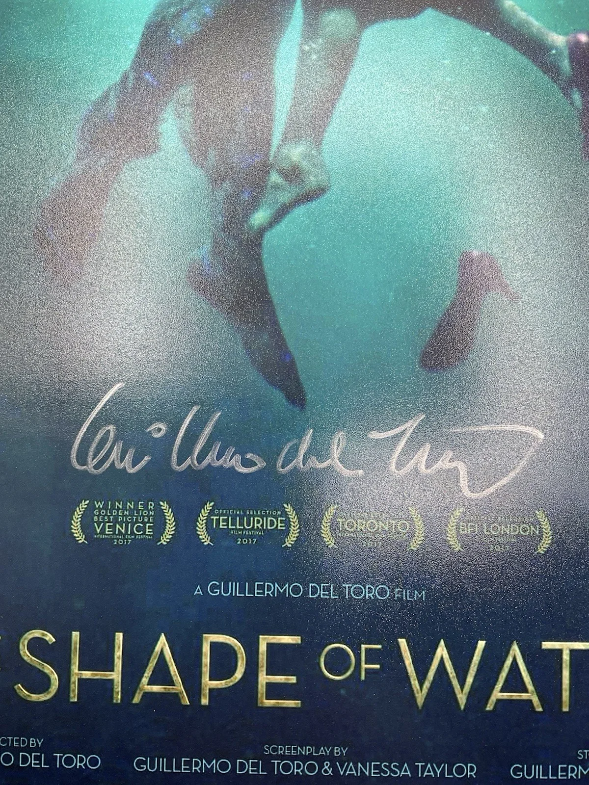 Guillermo del Toro — Guillermo del Toro signed 12x18 BAS Shape of Water signed 12x18 del Toro photo, изображение 2