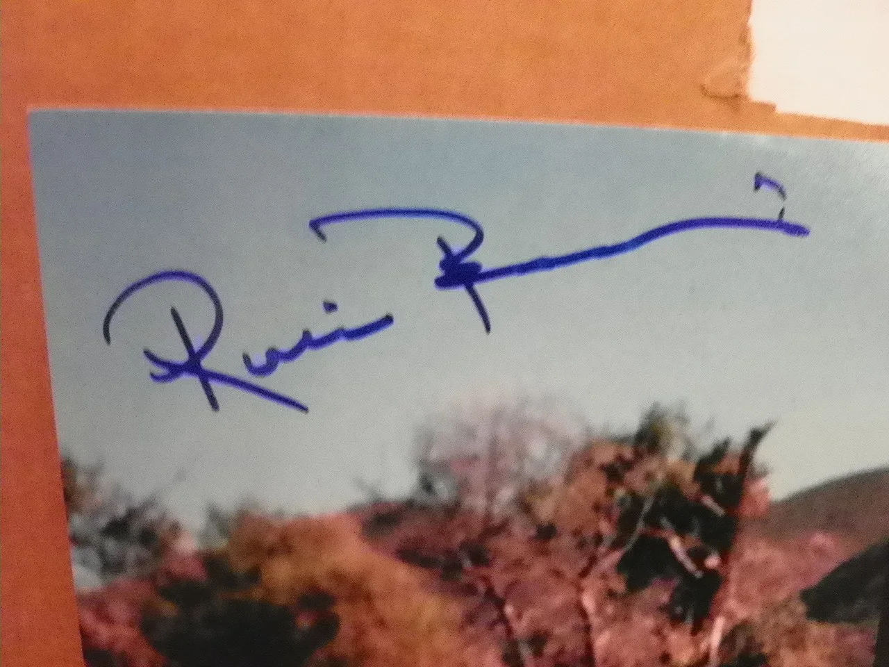 Ricou Browning — Creature from the Black Lagoon Ricou Browning Signed Autographed 11x14 Photo JSA, изображение 2