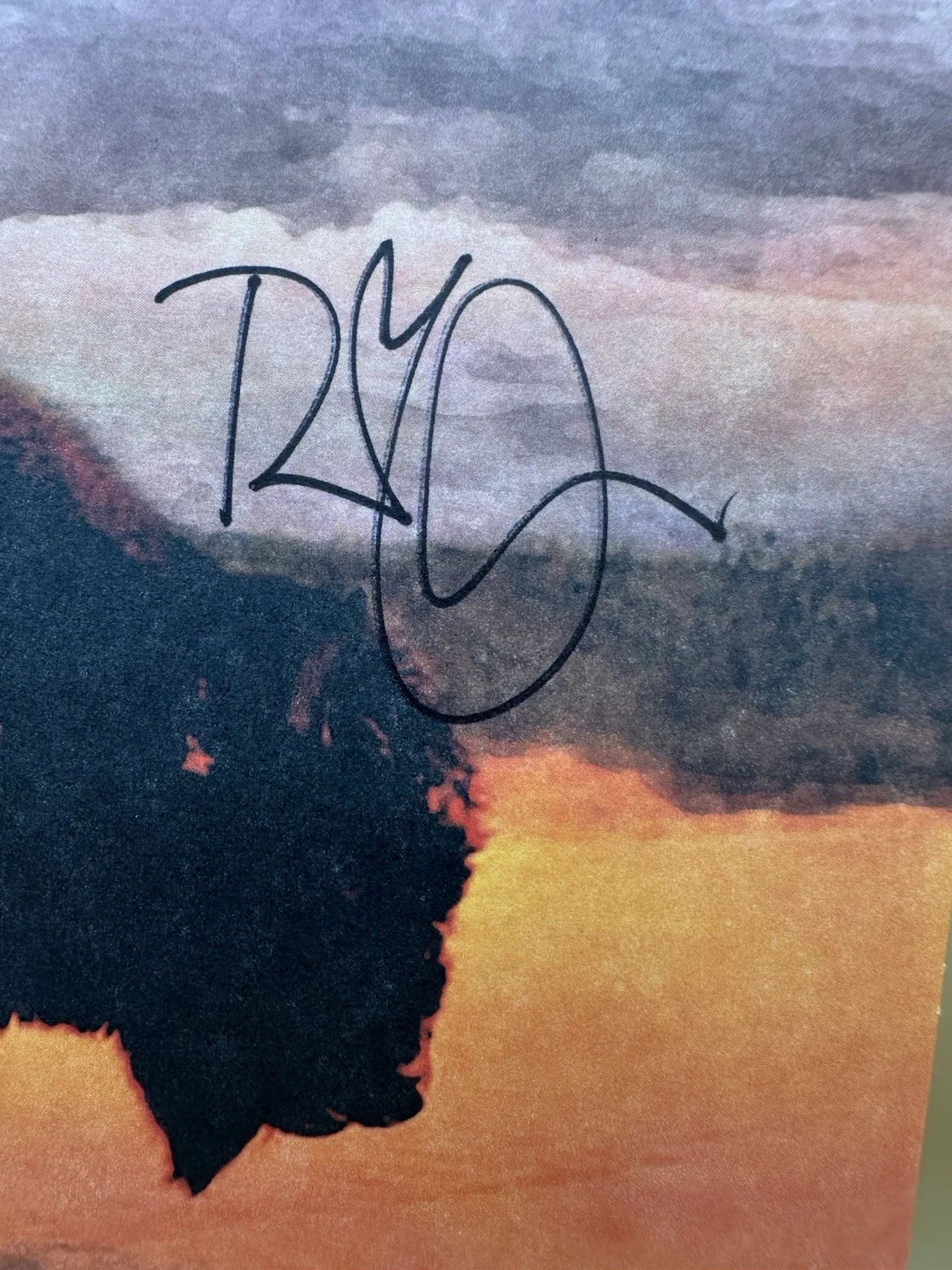 ROBERT PLANT SIGNED SAVING GRACE VINYL RECORD ON COVER AUTOGRAPH LED ZEPPELIN, image 2