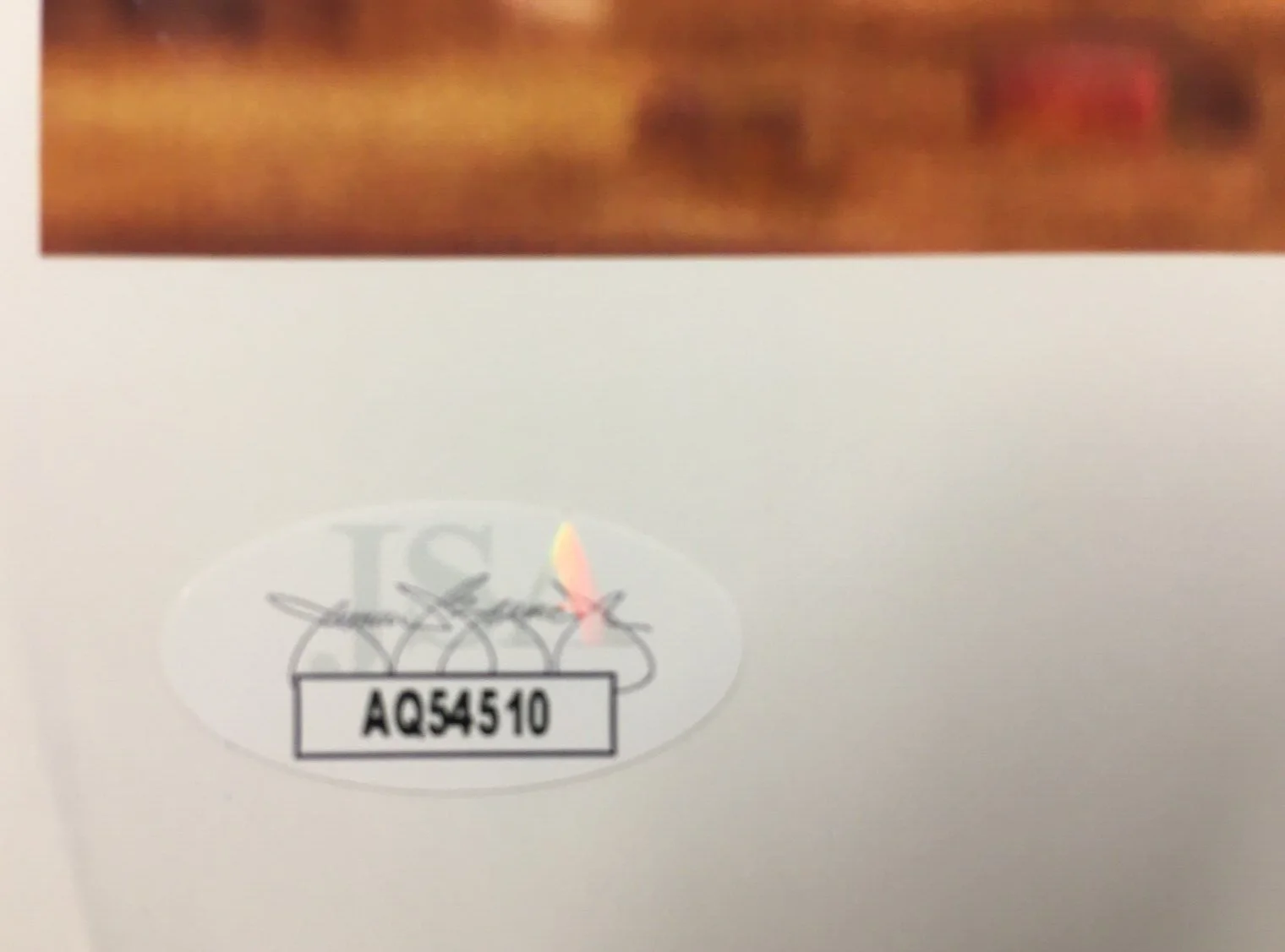 Elissa Knight — Elissa Knight Signed Color Print JSA Cert w/COA Pixar Voice Actor "Eve" WALL-E!, image 4