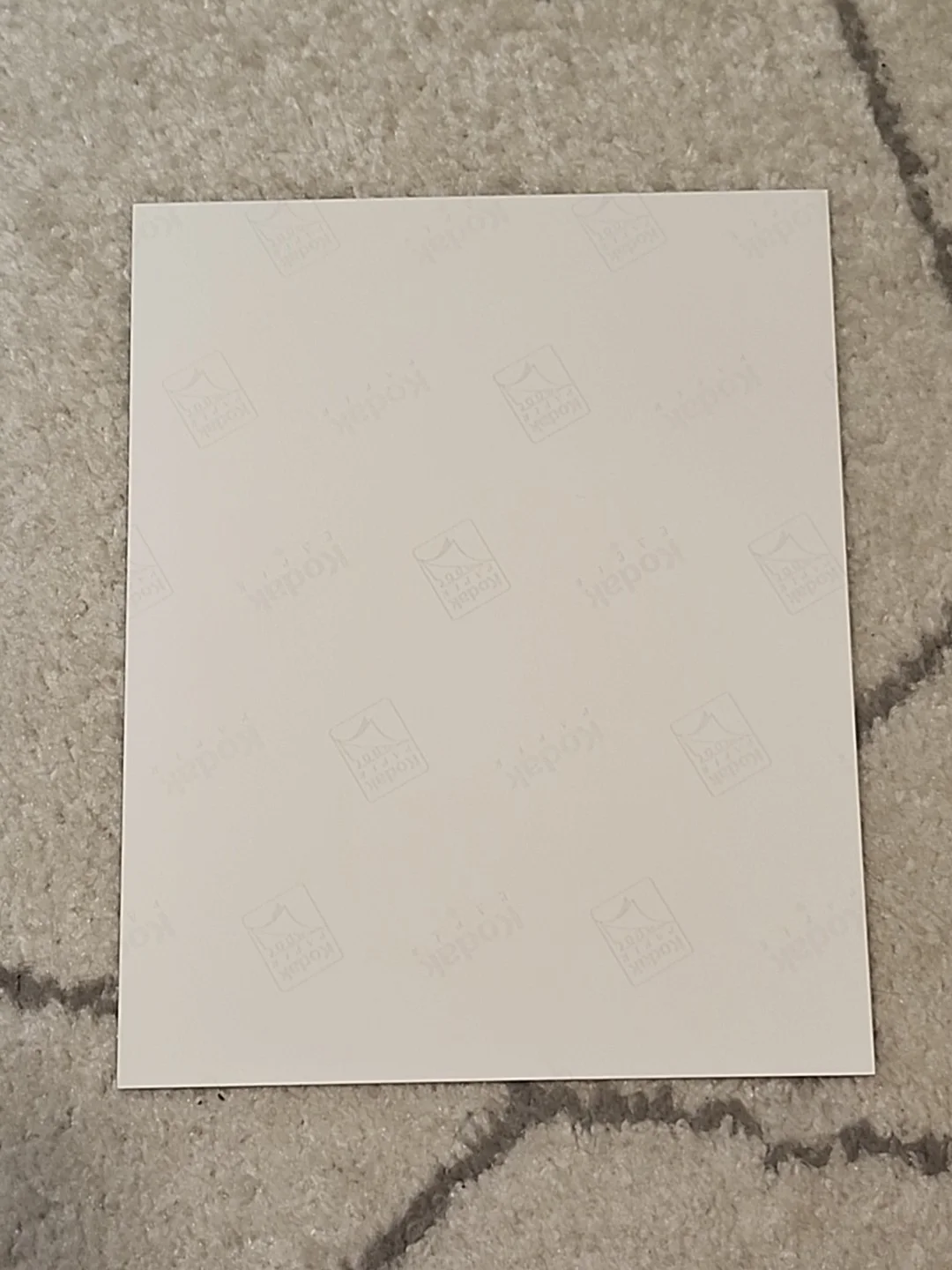 Brooke Shields — BROOKE SHIELDS Signed 10x8 Photo Child Star, image 2