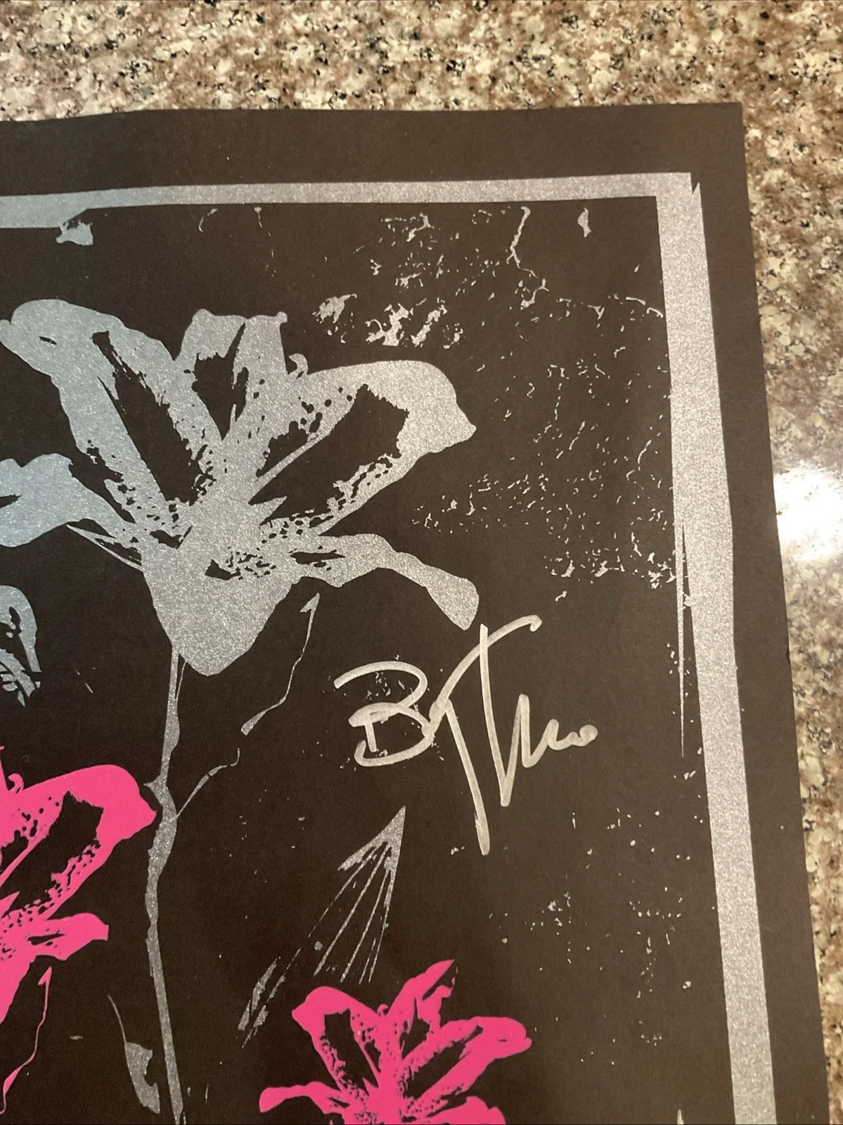 13x19.5 Brody Dalle & Spinnerette Band Mates Signed Poster 2008 Alex Bar LBC, изображение 3
