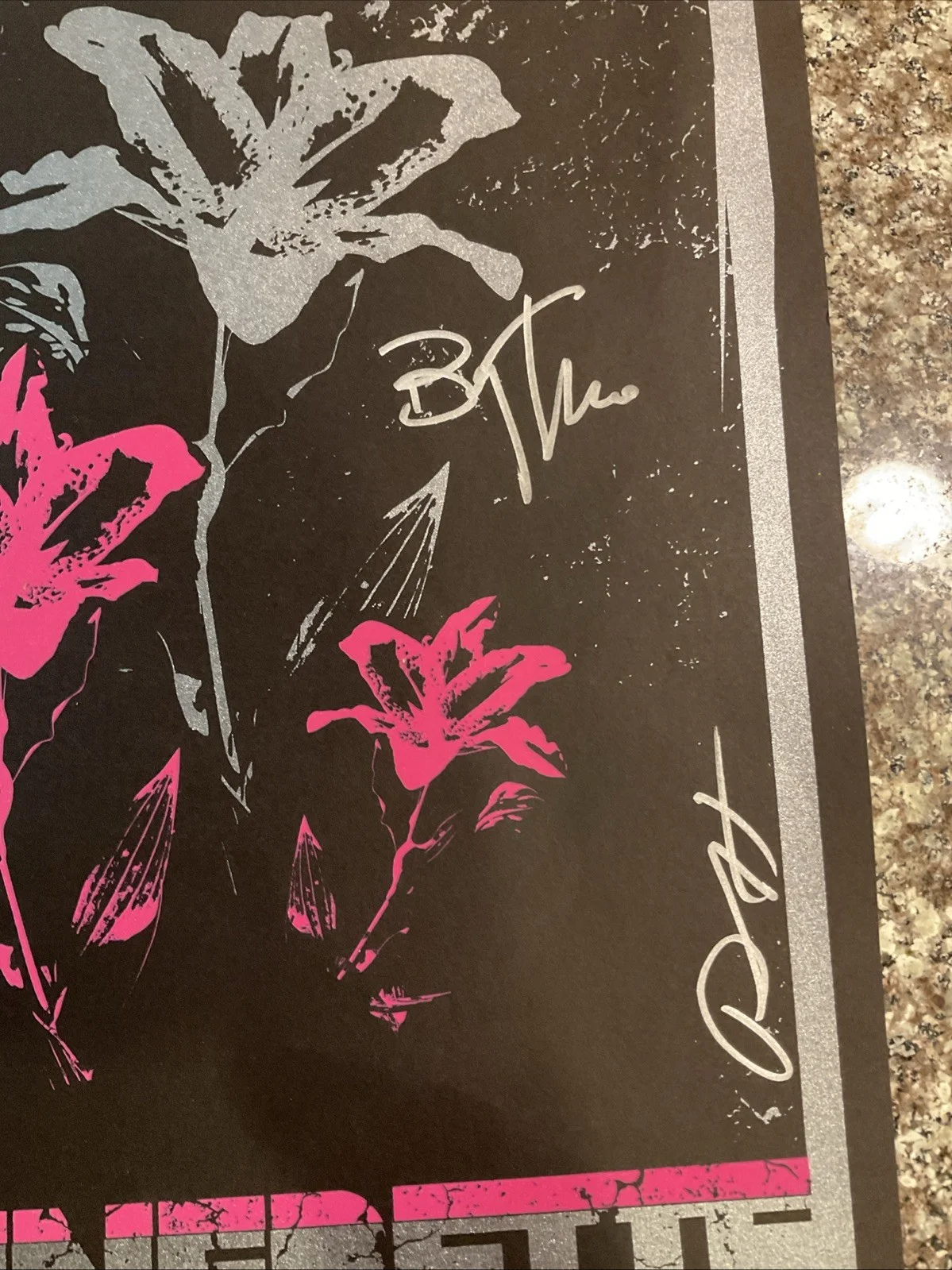 13x19.5 Brody Dalle & Spinnerette Band Mates Signed Poster 2008 Alex Bar LBC, изображение 4