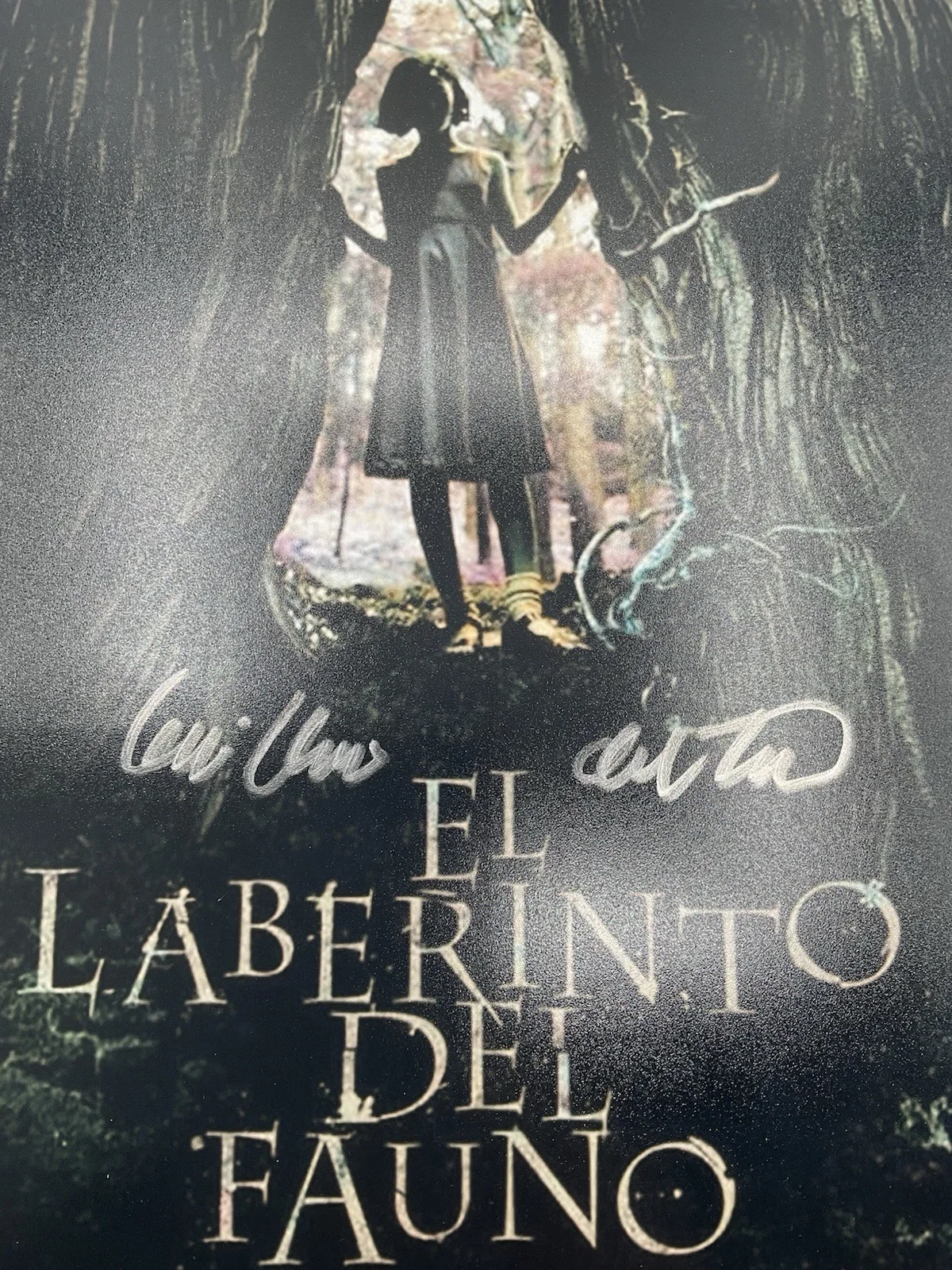 Guillermo del Toro — Guillermo del Toro signed 12x18 BAS Pans Labyrinth signed 12x18 del Toro photo, image 2