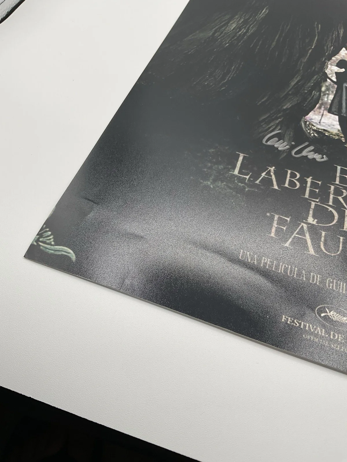 Guillermo del Toro — Guillermo del Toro signed 12x18 BAS Pans Labyrinth signed 12x18 del Toro photo, image 4