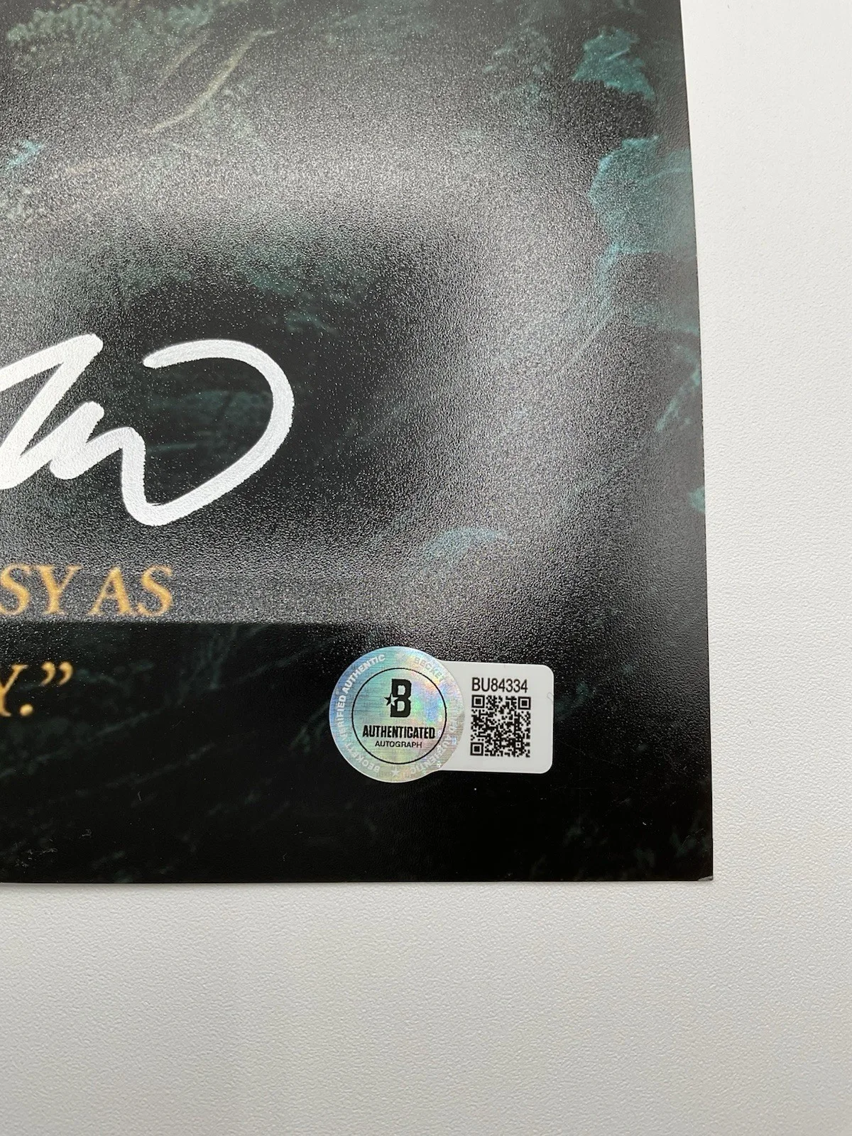 Guillermo del Toro — Guillermo del Toro signed 12x18 BAS Pans Labyrinth signed 12x18 del Toro photo, image 3