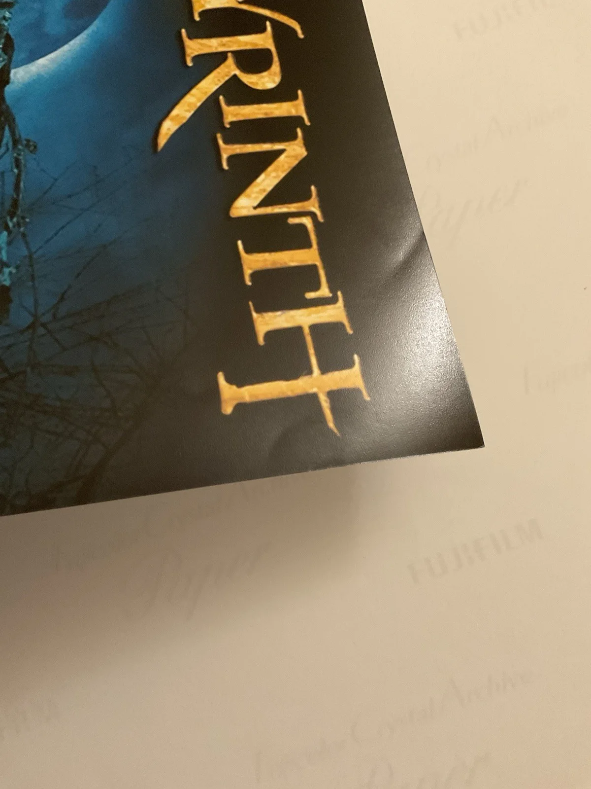 Guillermo del Toro — Guillermo del Toro signed 12x18 BAS Pans Labyrinth signed 12x18 del Toro photo, image 4