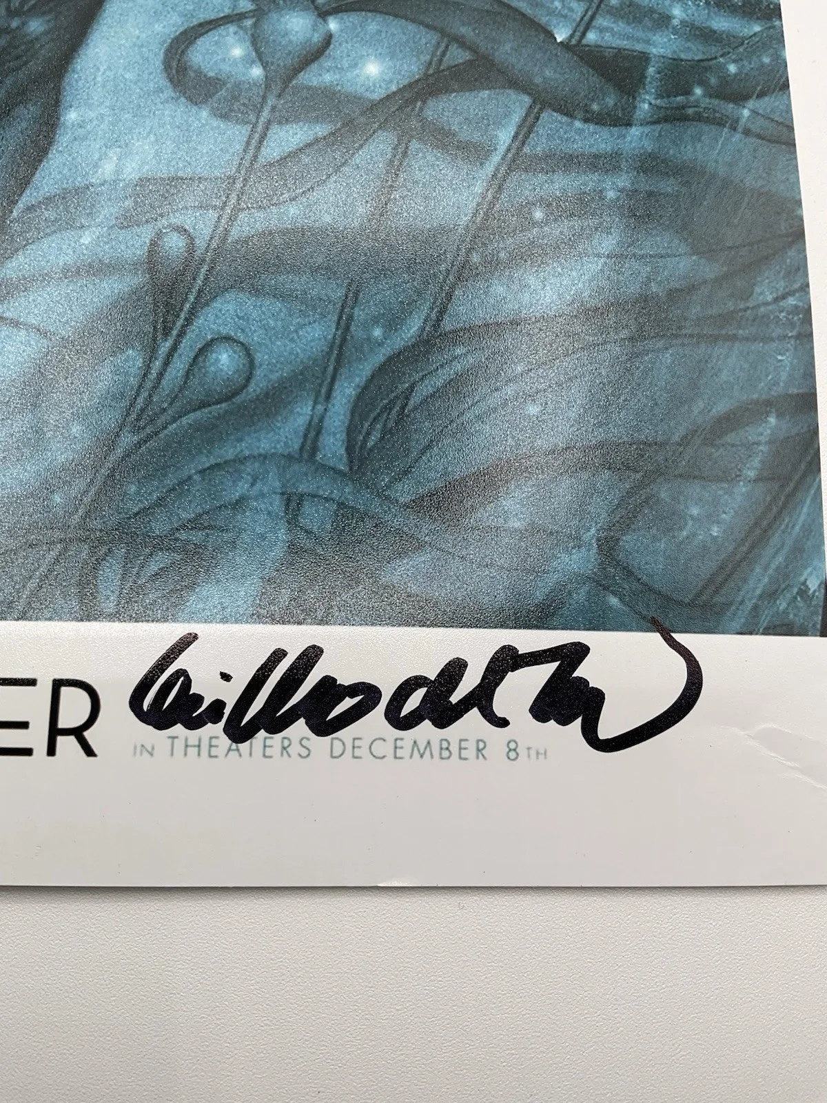 Guillermo del Toro — Guillermo del Toro signed 12x18 BAS Shape of Water signed 12x18 del Toro photo, изображение 2