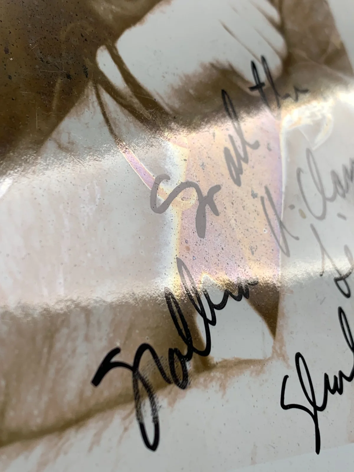 Steve Earle Autographed Photo Old Country Guitar, изображение 3