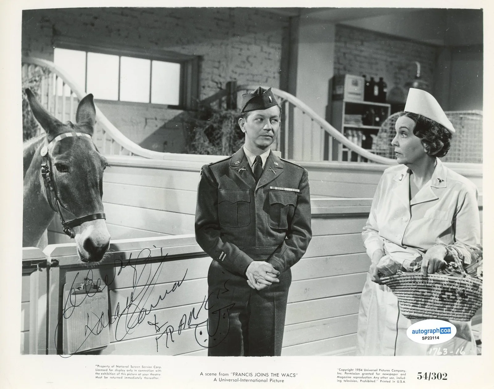Donald O'Connor — Donald O'Connor "Francis Joins the WACS" Autograph SIGNED 8x10 Photo ACOA