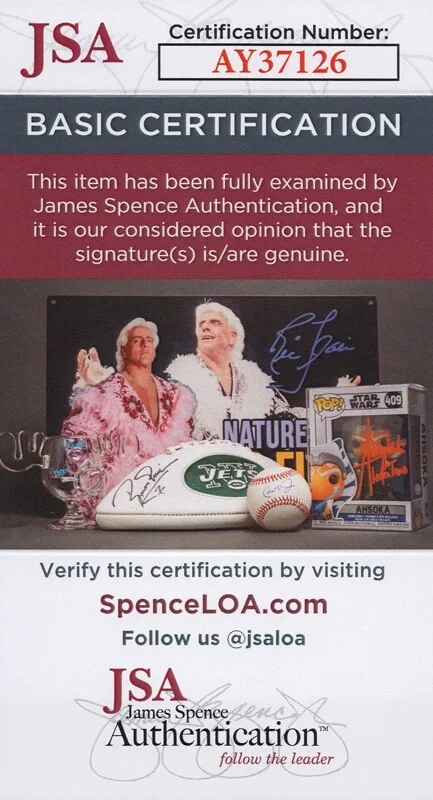 Jeff Goldblum — Jeff Goldblum signed "INDEPENDENCE DAY" 8x10 Photo PROOF Jurassic Park JSA COA, image 2