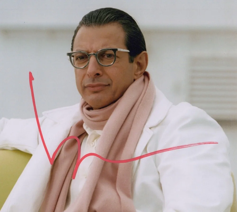 Jeff Goldblum — Jeff Goldblum signed Autographed 8x10 Photo a PROOF Cool SEXY Hot COA, image 3