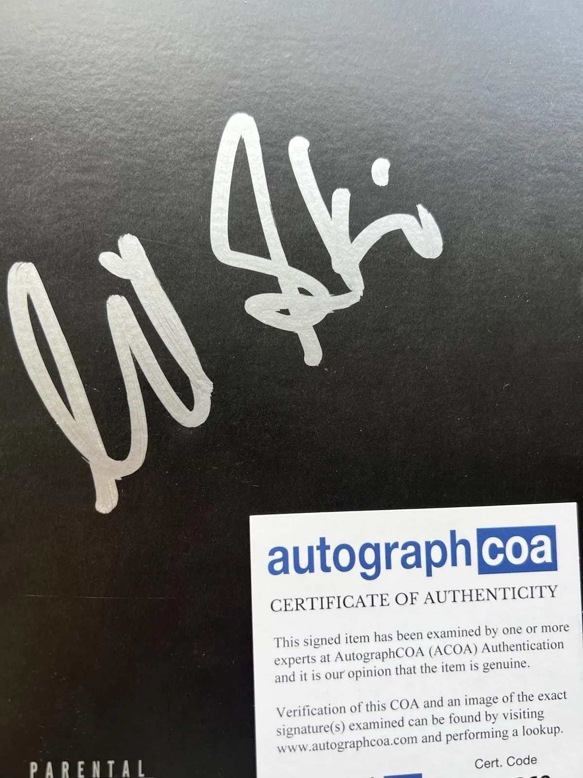 LIL SKIES SIGNED “LIFE OF A DARK ROSE” VINYL & RECORD ALBUM - ACOA COA + PROOF, изображение 2