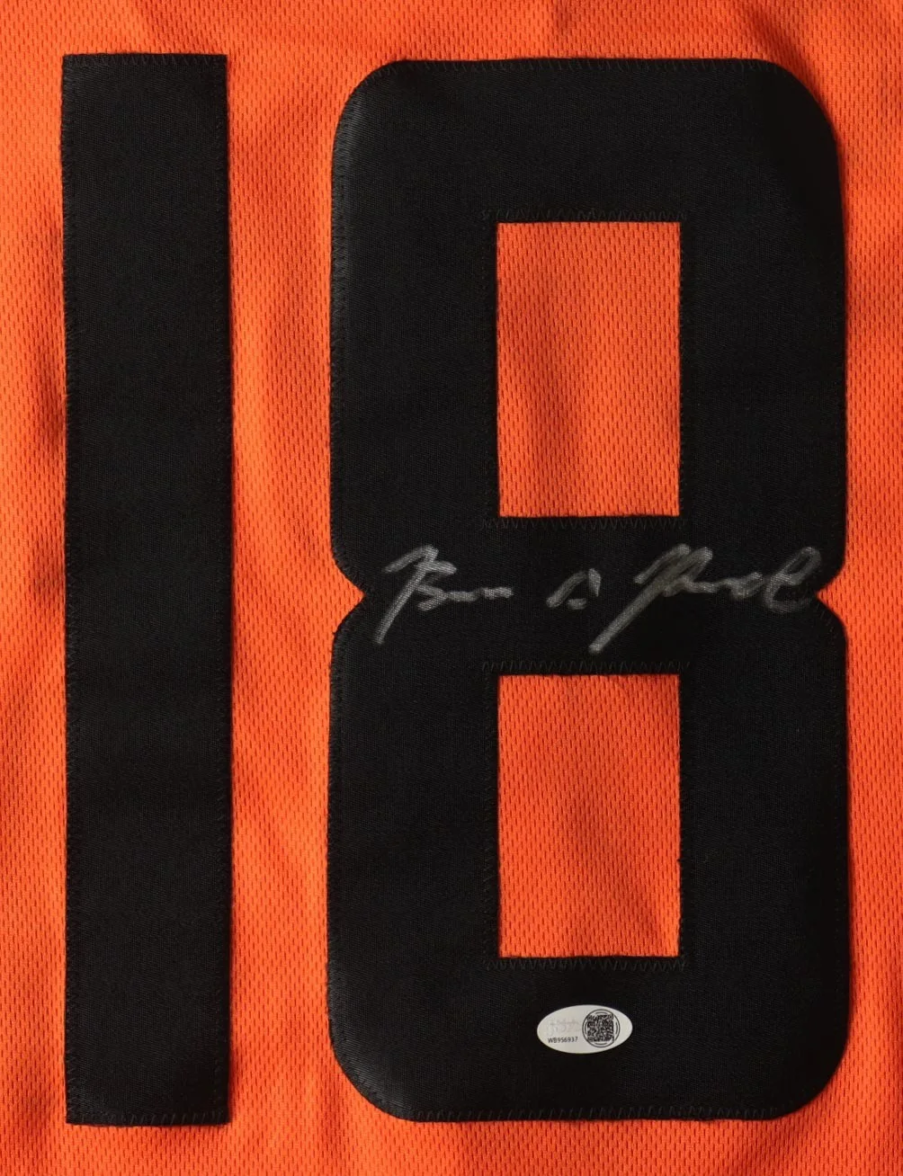 Brian Prince Jr — Brian Prince Jr. Signed Jersey (JSA) - "The Predator", image 2