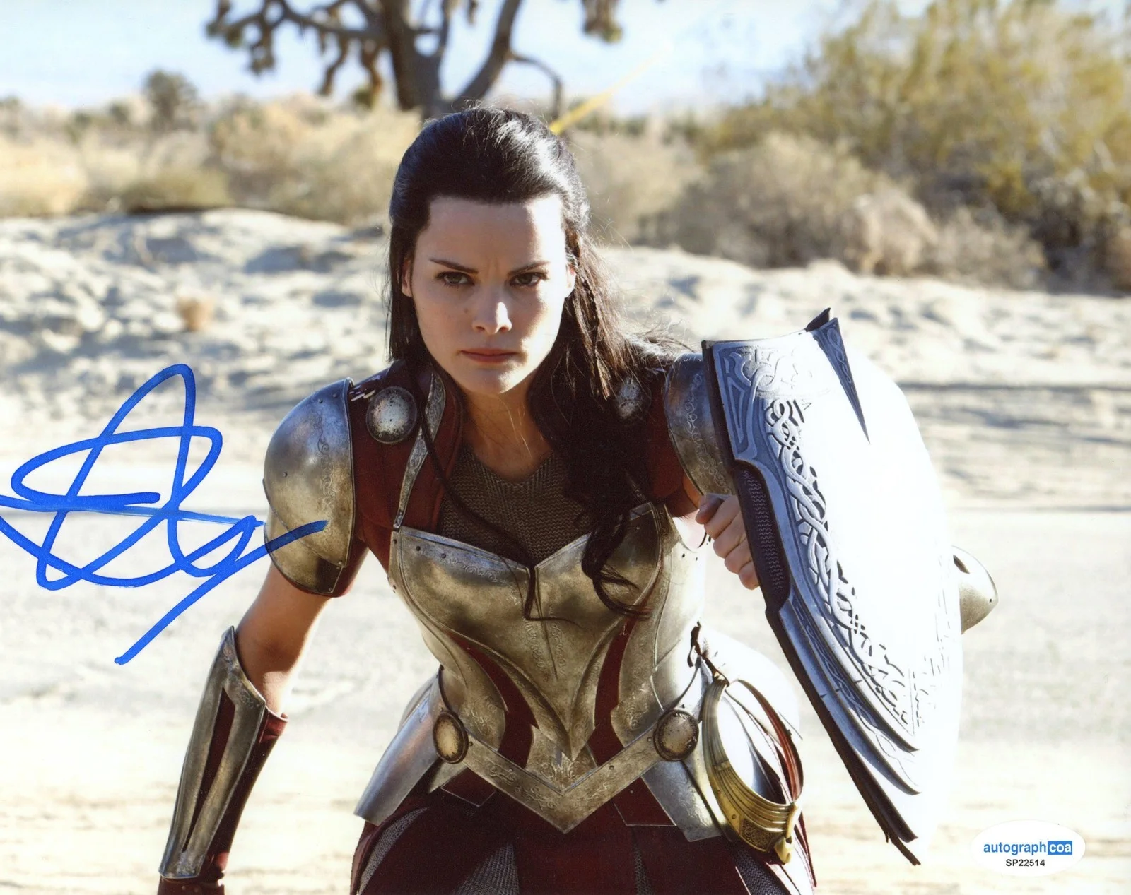 Jaimie Alexander — Jaimie Alexander "Thor" AUTOGRAPH Signed 'Lady Sif' Autographed 8x10 Photo ACOA
