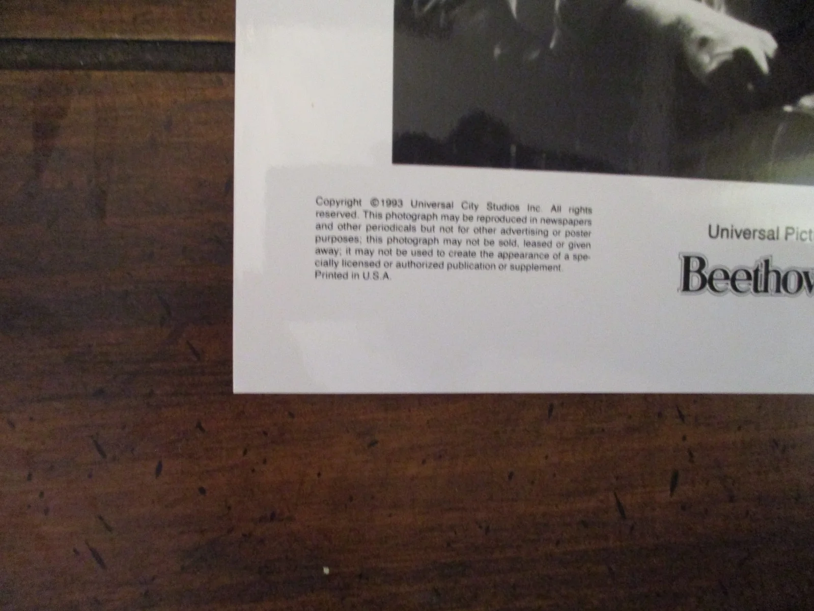 Bonnie Hunt/Christopher Castile/Sarah Rose Karr(BEETHOVEN'S 2ND) 8x10 1994 Photo, image 4