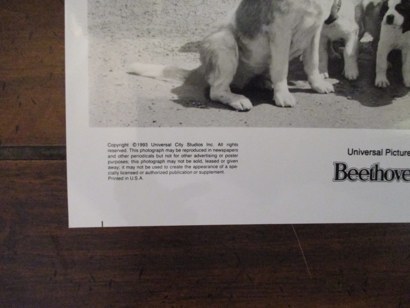 Nicholle Tom/Sarah Rose Karr/Bonnie Hunt(BEETHOVEN'S 2ND)1994 10 x 8 B & W Photo, изображение 4