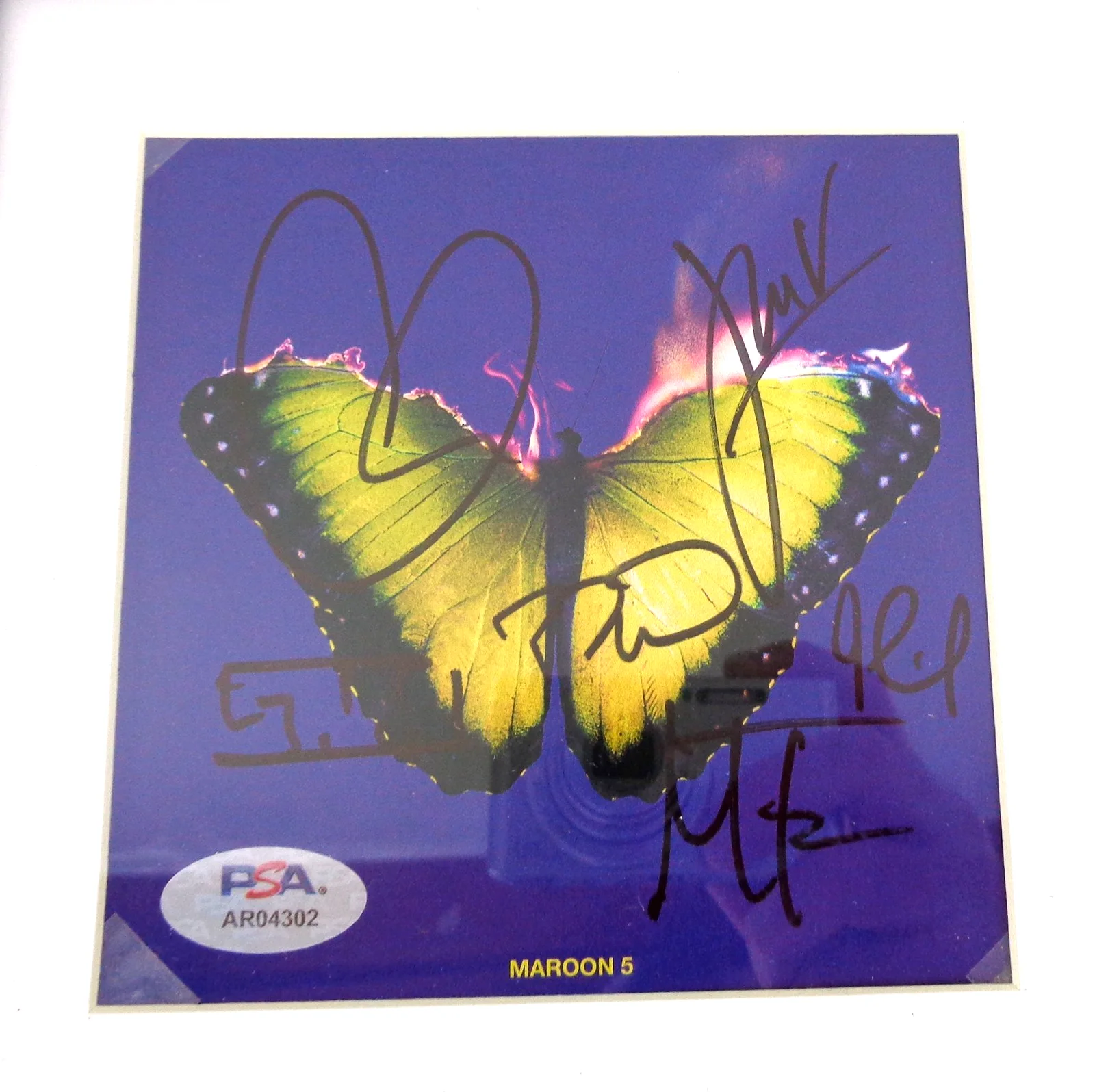 Maroon 5 Band Adam Levine Signed Autograph Love Is Like CD Framed PSA/DNA COA, изображение 3