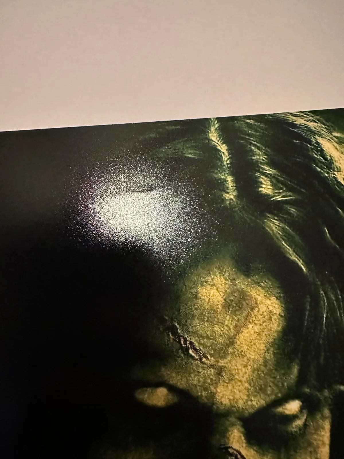 Linda Blair Autographed Exorcist 8 x 10 Photo OC COA Up Close Face Regan, изображение 4