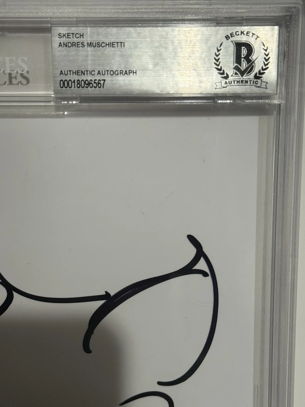 Andres Andy Muschietti — Andres Andy Muschietti Signed Pennywise IT 8.5x11 Sketch Autograph BAS ENCAP -A, изображение 2