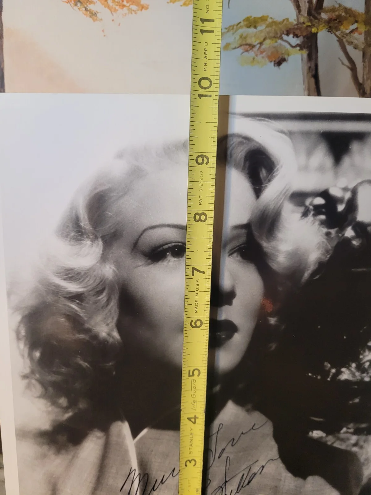 VINTAGE PRESS PHOTO BETTY HUTTON AUTOGRAPHED 8×10, image 4