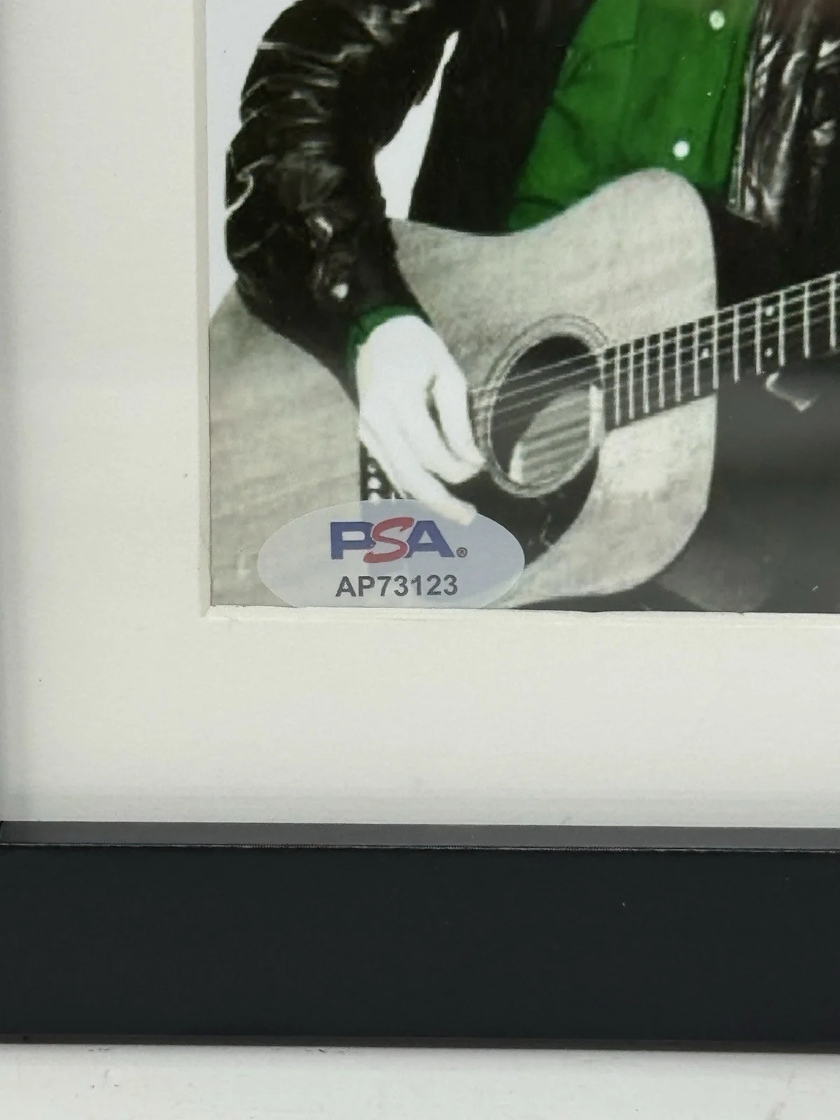 STEVE FORBERT SIGNED AUTOGRAPH JACKRABBIT SLIM CD ALBUM FRAMED PSA/DNA COA, image 3