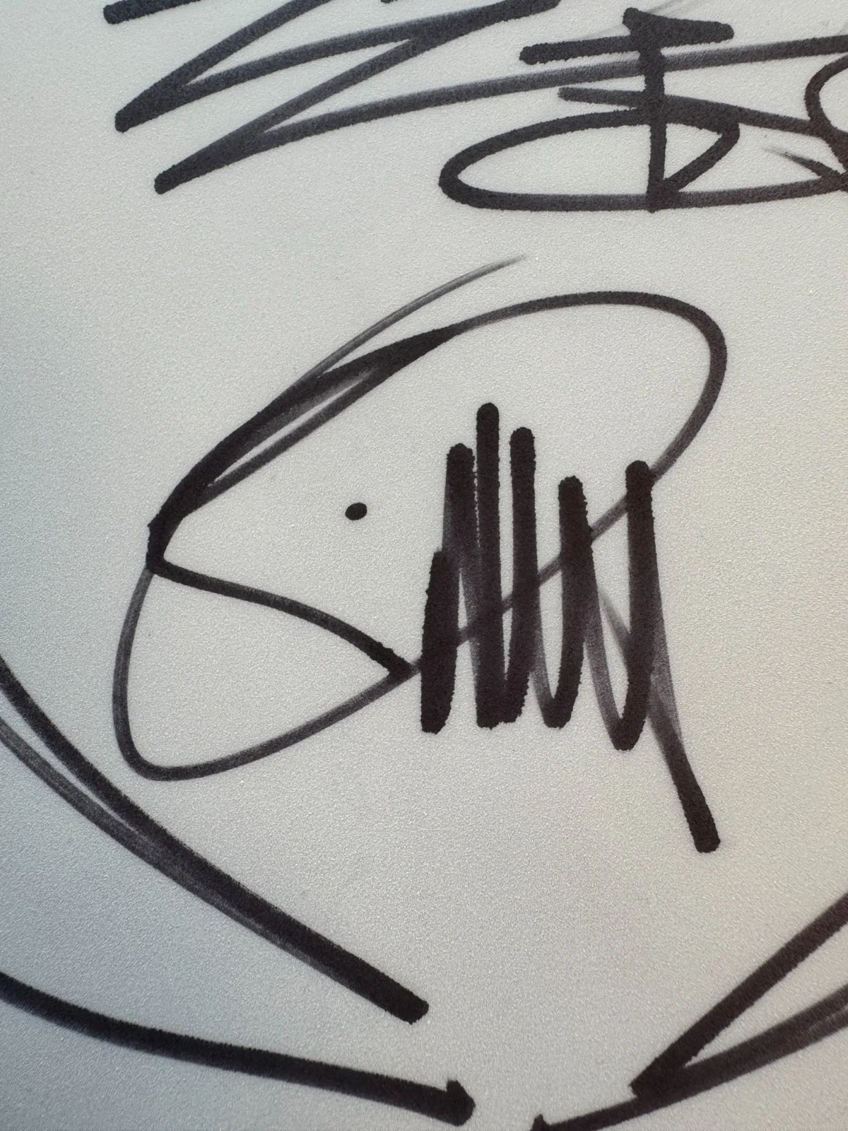 Billy Gibbons ZZ Top HOF Signed Autographed 10" Drumhead Drum Head Beckett COA, изображение 4