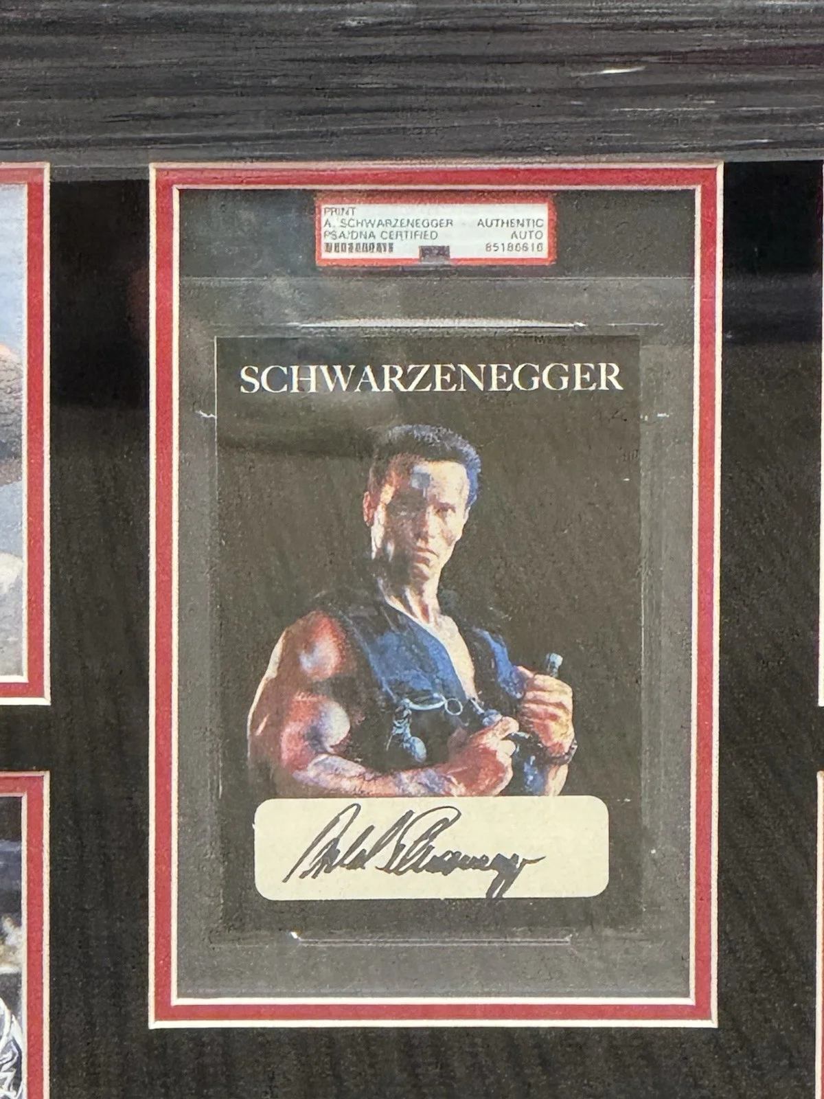 Arnold Schwarzenegger — Arnold Schwarzenegger Signed Framed Commando Auto Psa Slabbed, изображение 2