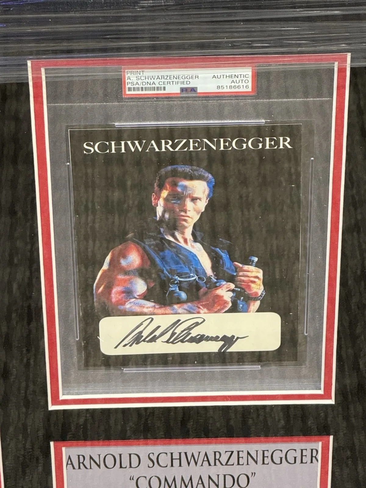 Arnold Schwarzenegger — Arnold Schwarzenegger Signed Framed Commando Auto Psa Slabbed, изображение 3
