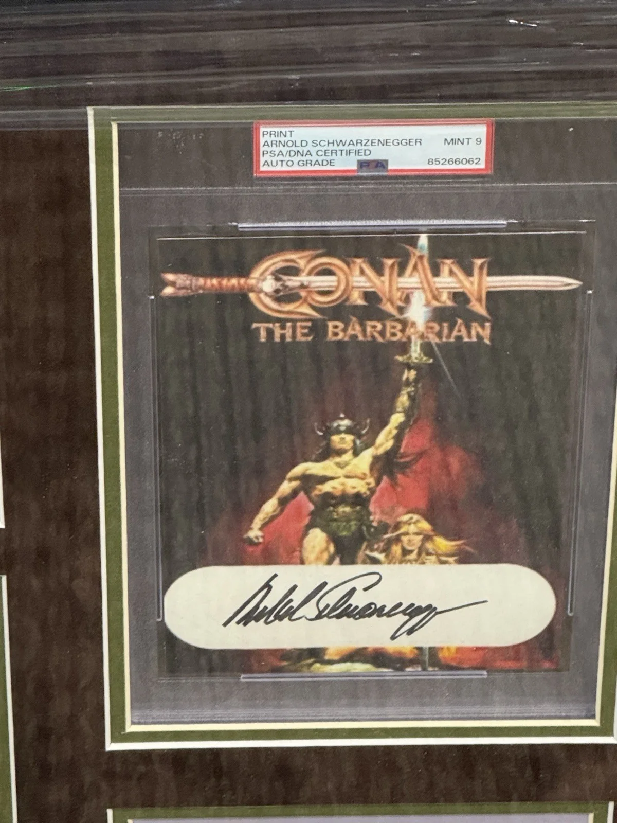 Arnold Schwarzenegger — Arnold Schwarzenegger Signed Framed Auto Psa Slabbed "CONAN THE BARBARIAN", image 3