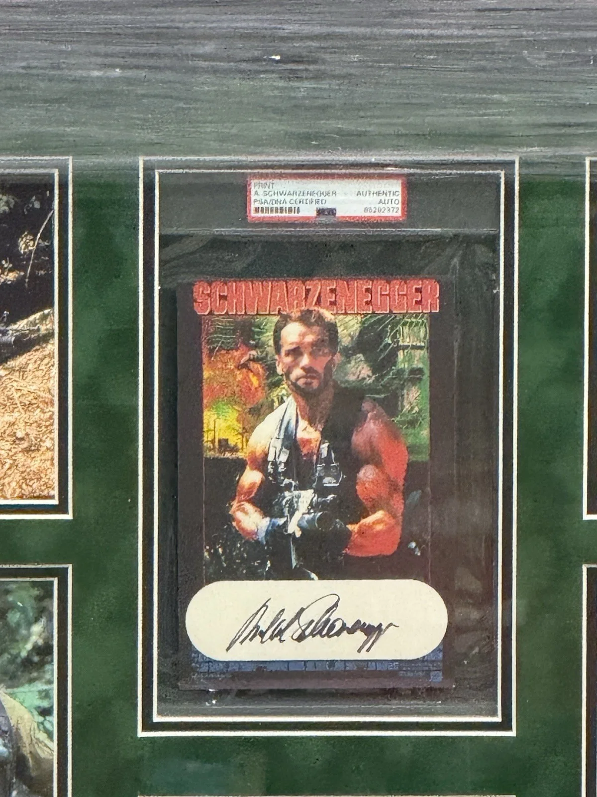 Arnold Schwarzenegger — Arnold Schwarzenegger Signed Framed Predator Auto Psa Slabbed, image 2
