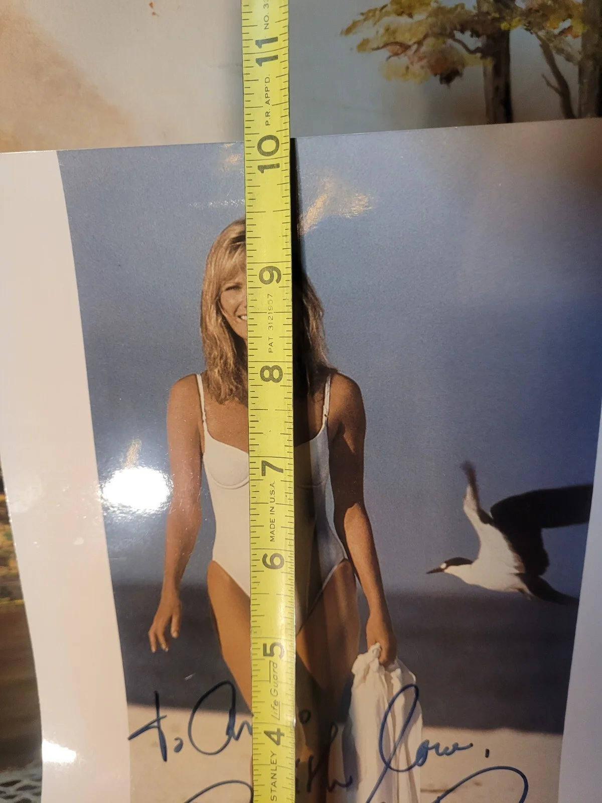 CHERYL TIEGS, SIGNED Press Photo HOT ACTRESS MODEL 8X10, image 3