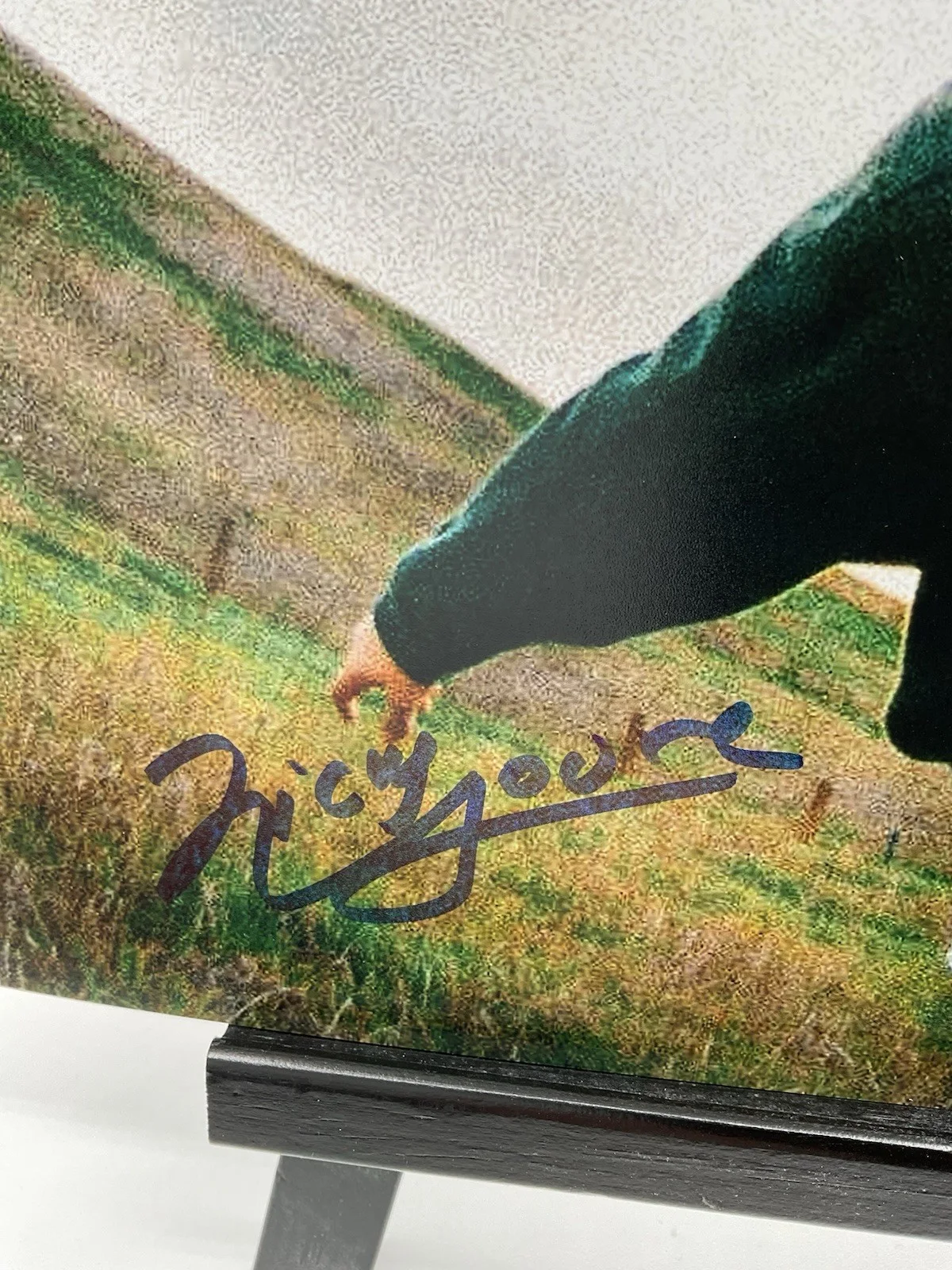 Nicky Youre — Nicky Youre signed photo SWAU Sunroof Nicholas Scott Ure Whats the big deal auto, изображение 2