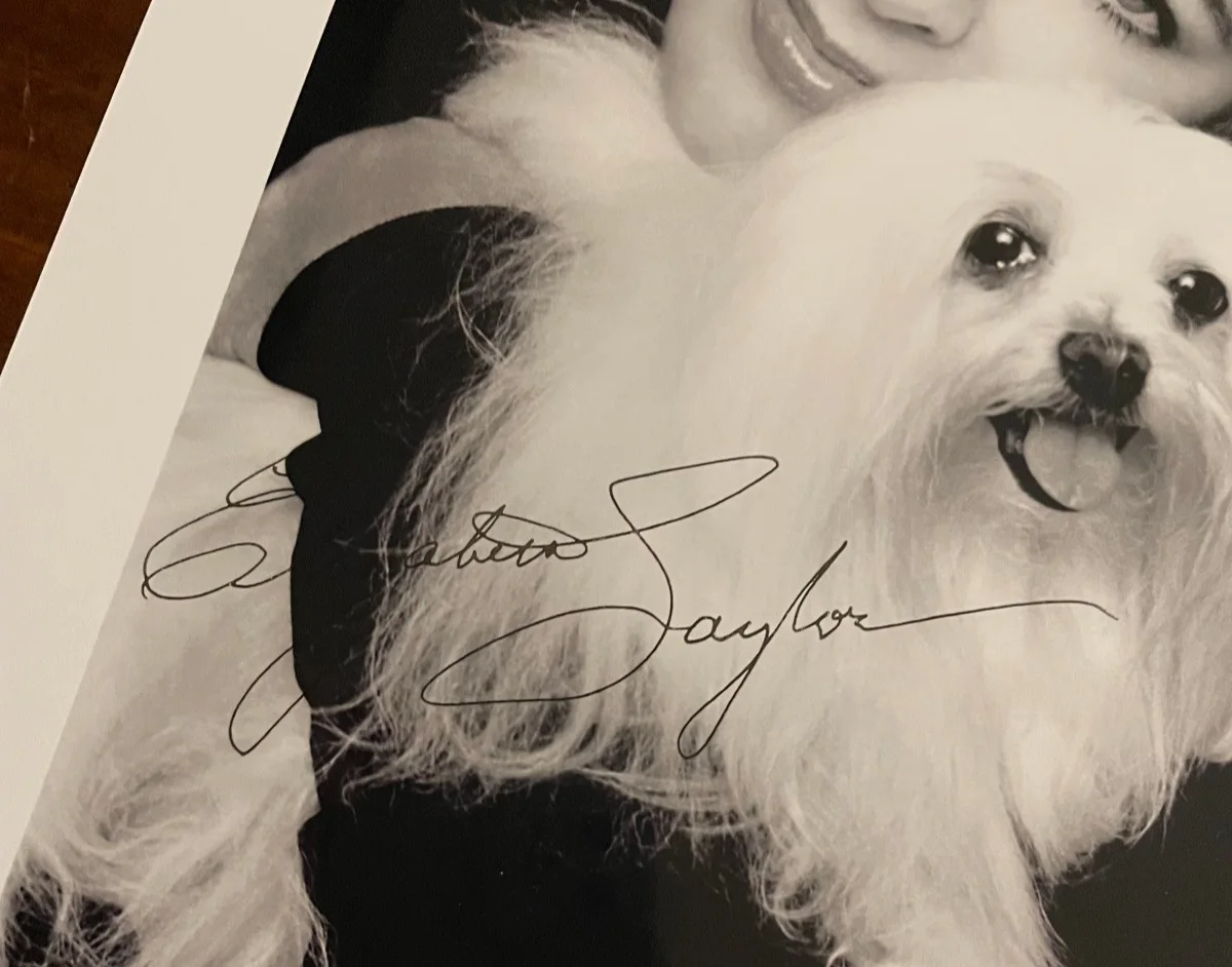 Elizabeth Taylor — Elizabeth Taylor Signed Autograph 8x10 B&W Glossy Photograph with COA, image 2