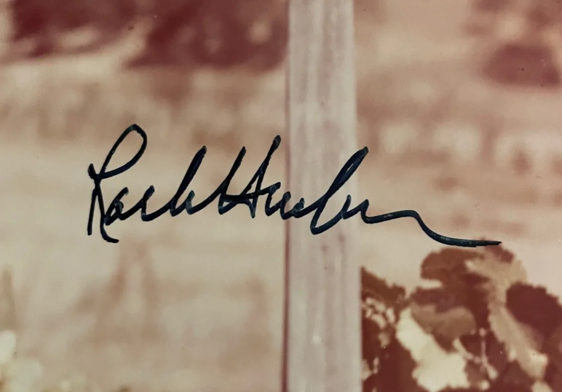 Rock Hudson — Rock Hudson Signed Autograph 8x10 Color Glossy Photograph This Earth Is Mine, image 2