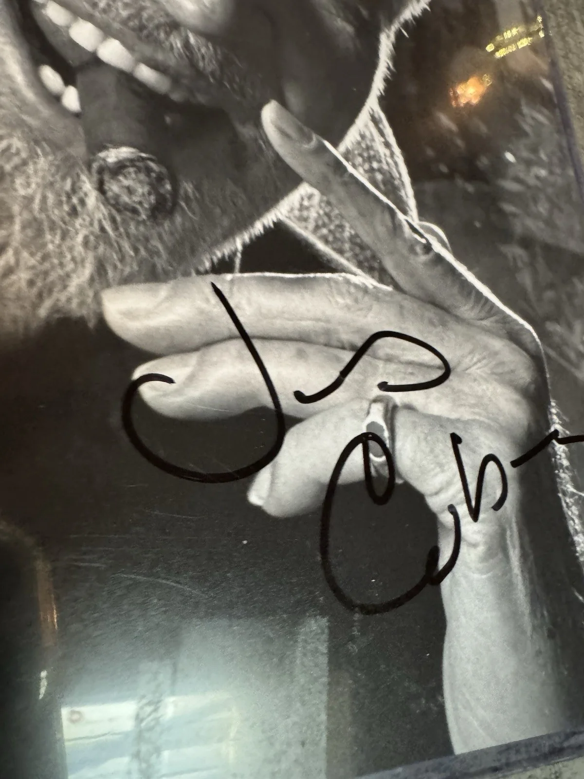 James Coburn Authentic Signed 8x10 Photo Autographed Movie Star Actor Dual COAs, изображение 2