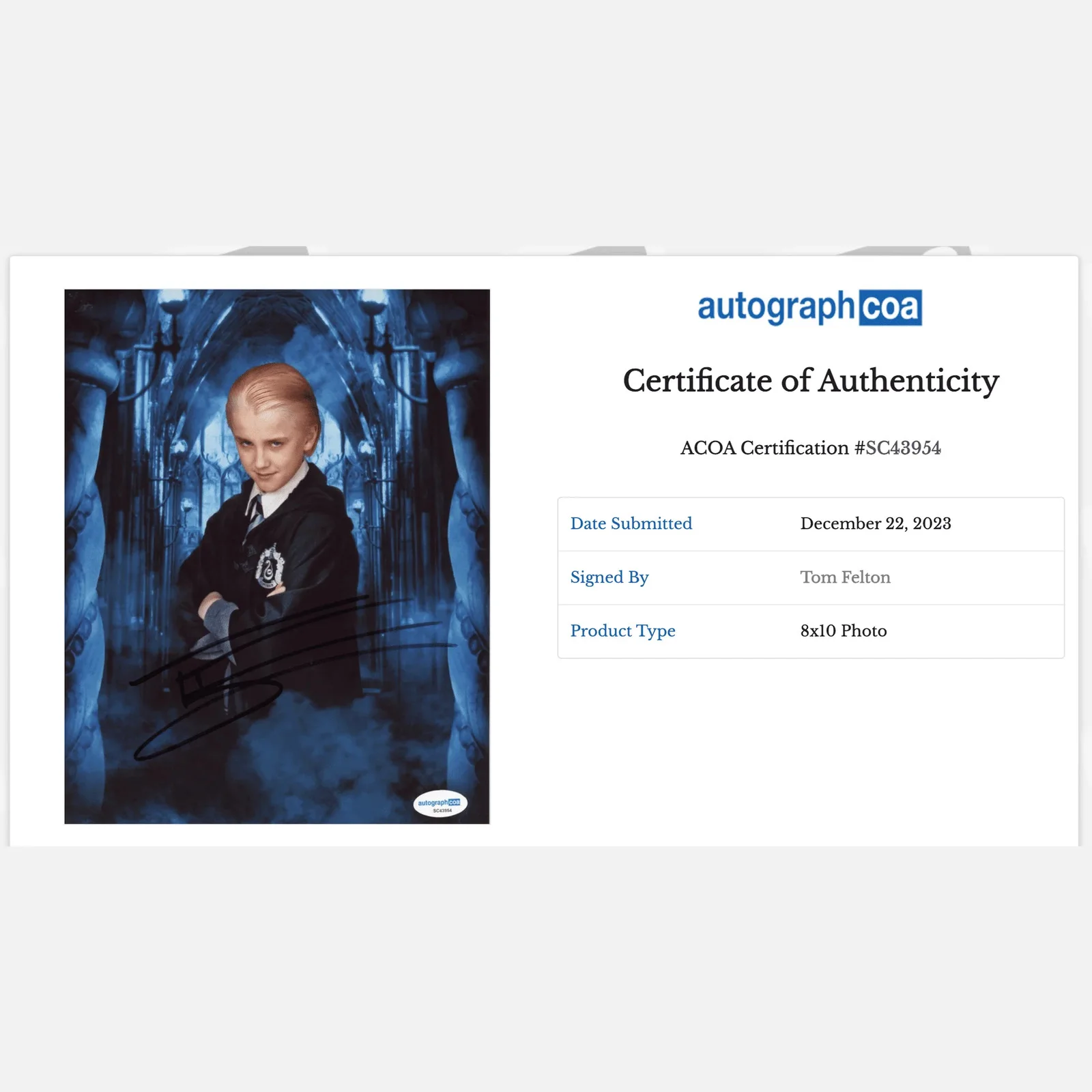 TOM FELTON autograph ACOA signed 8x10 photography HARRY POTTER — TOM FELTON autograph ACOA signed 8x10 photography HARRY POTTER, image 2