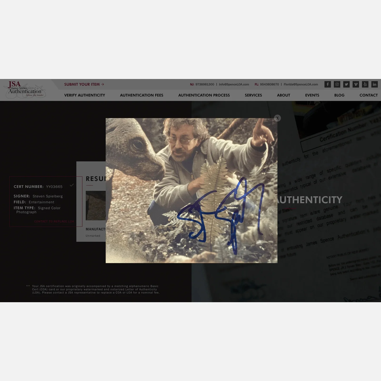 STEVEN SPIELBERG autograph JSA LOA signed 8x10 photography — STEVEN SPIELBERG autograph JSA LOA signed 8x10 photography JURASSIC PARK, изображение 3