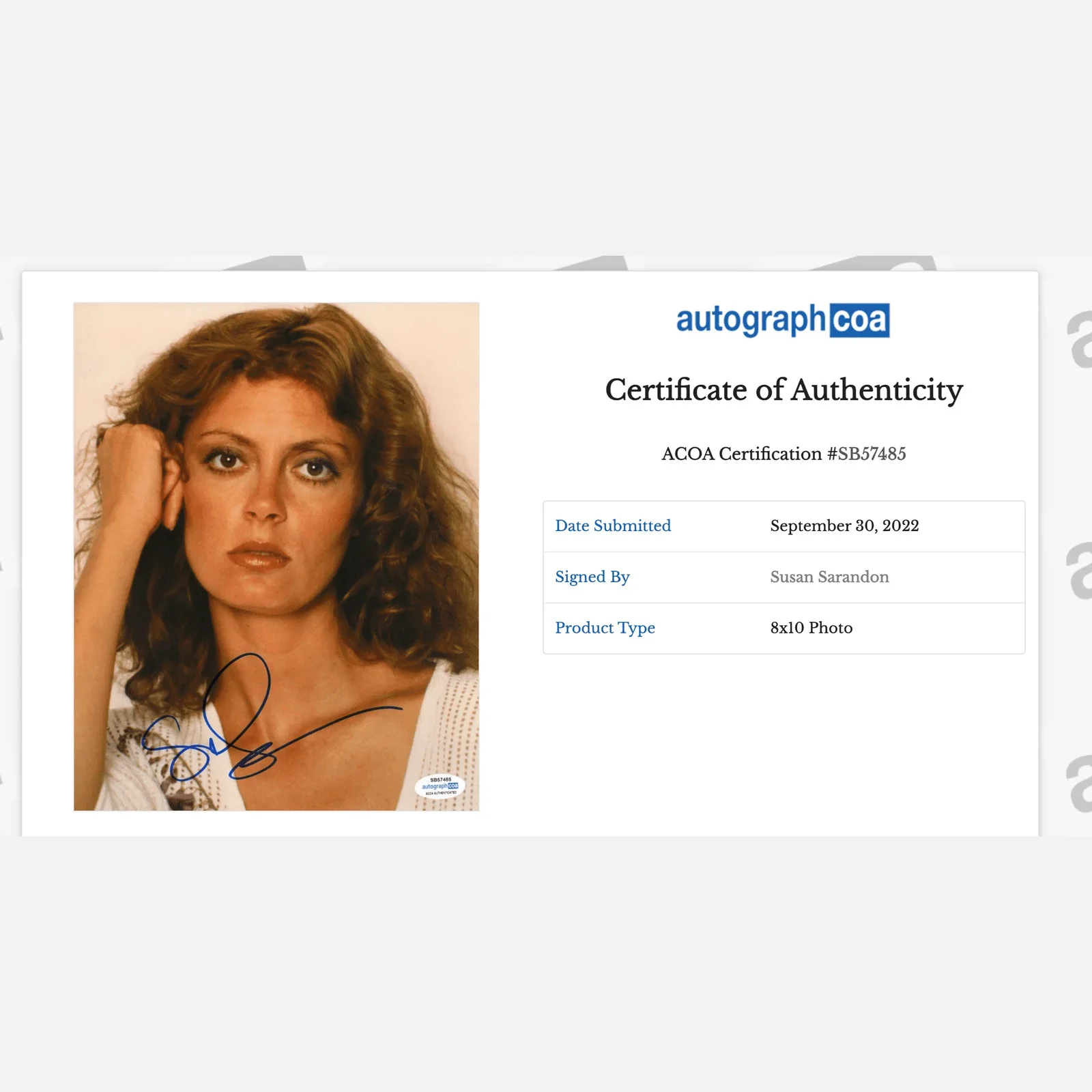 SUSAN SARANDON autograph ACOA signed 8x10 photography — SUSAN SARANDON autograph ACOA signed 8x10 photography, image 2