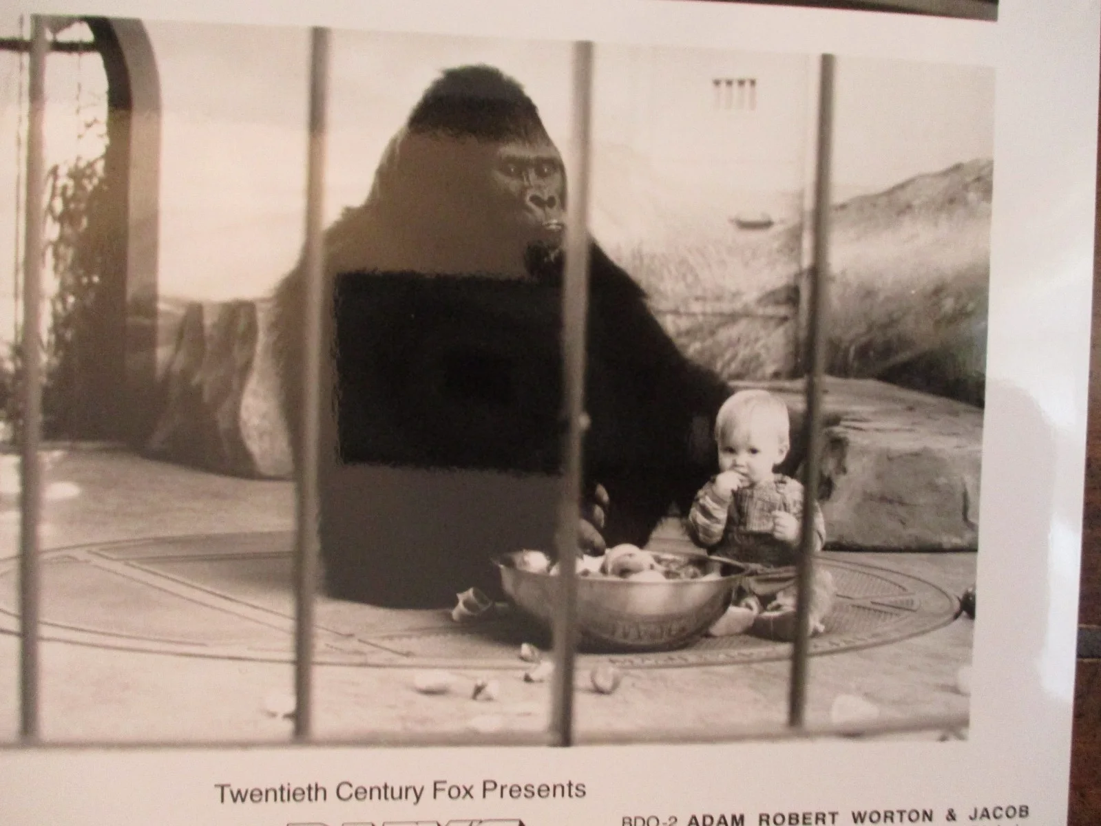 Adam Robert Worton/Jacob Joseph Worton(BABYS DAY OUT)1994 8x10 Black/White Photo, изображение 3