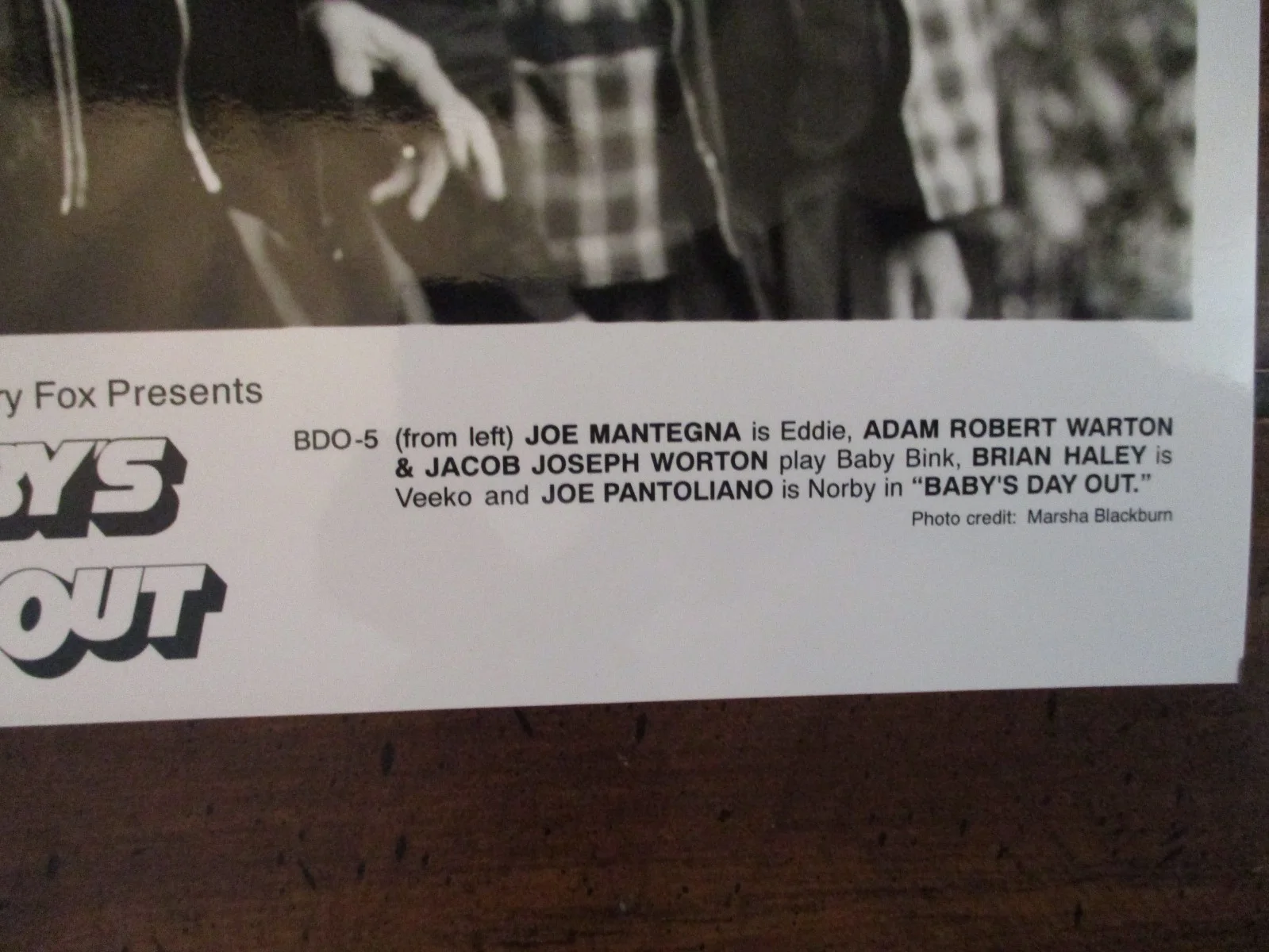 Adam Robert Worton/Jacob Joseph Worton/Brian Haley(BABYS DAY OUT)1994 10x8 Photo, image 2